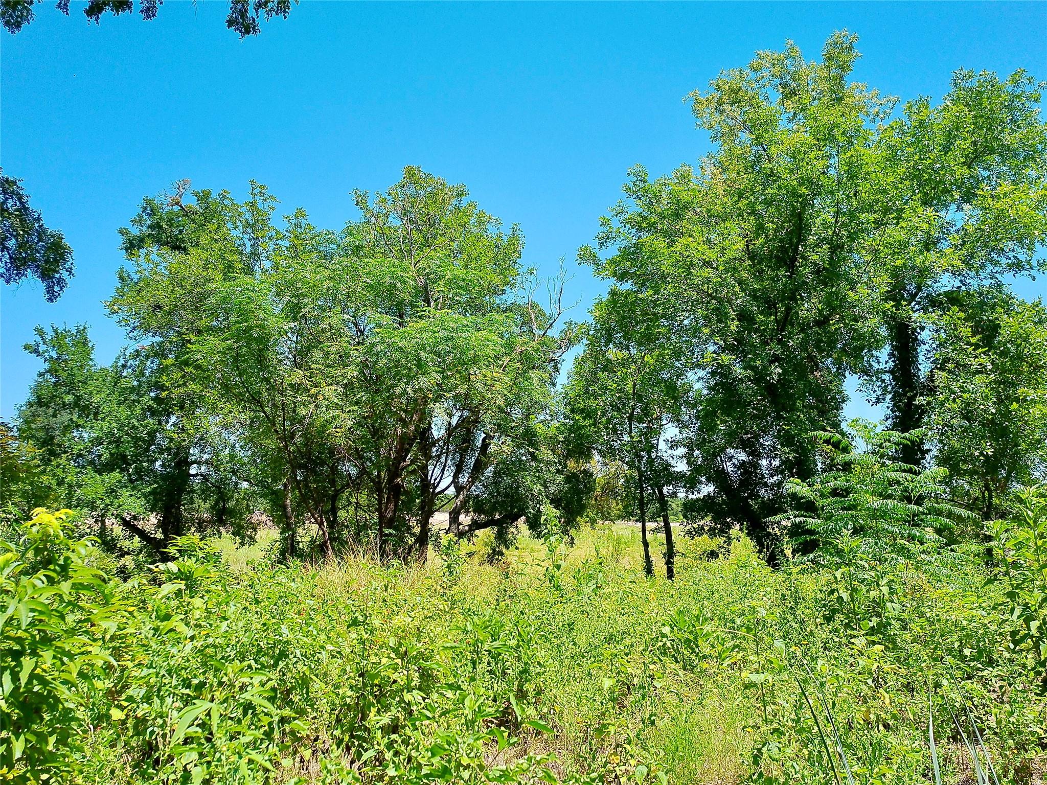 101 Scotty Ln Property Photo 19