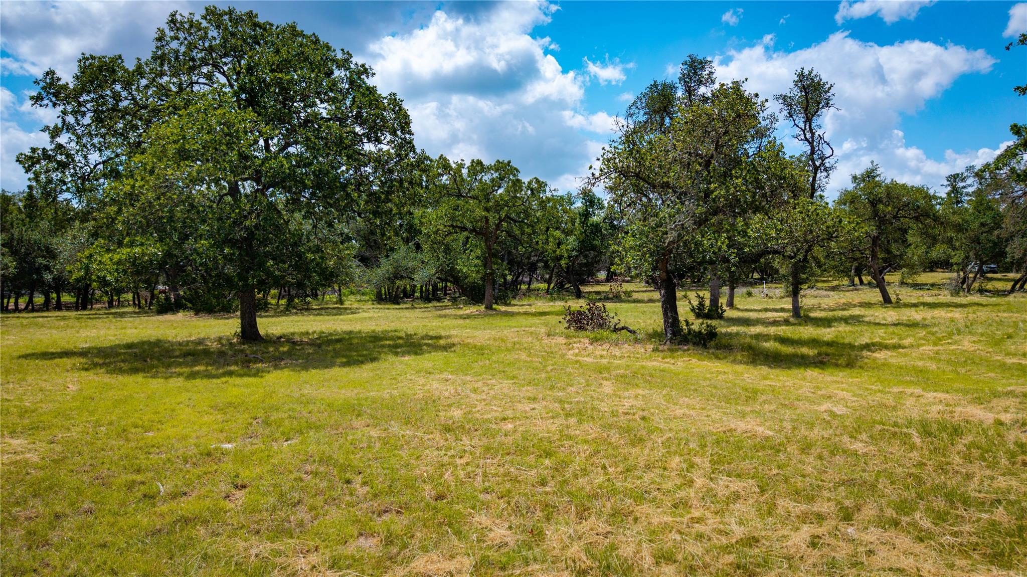 2041 Lone Man Mountain Rd Property Photo 1