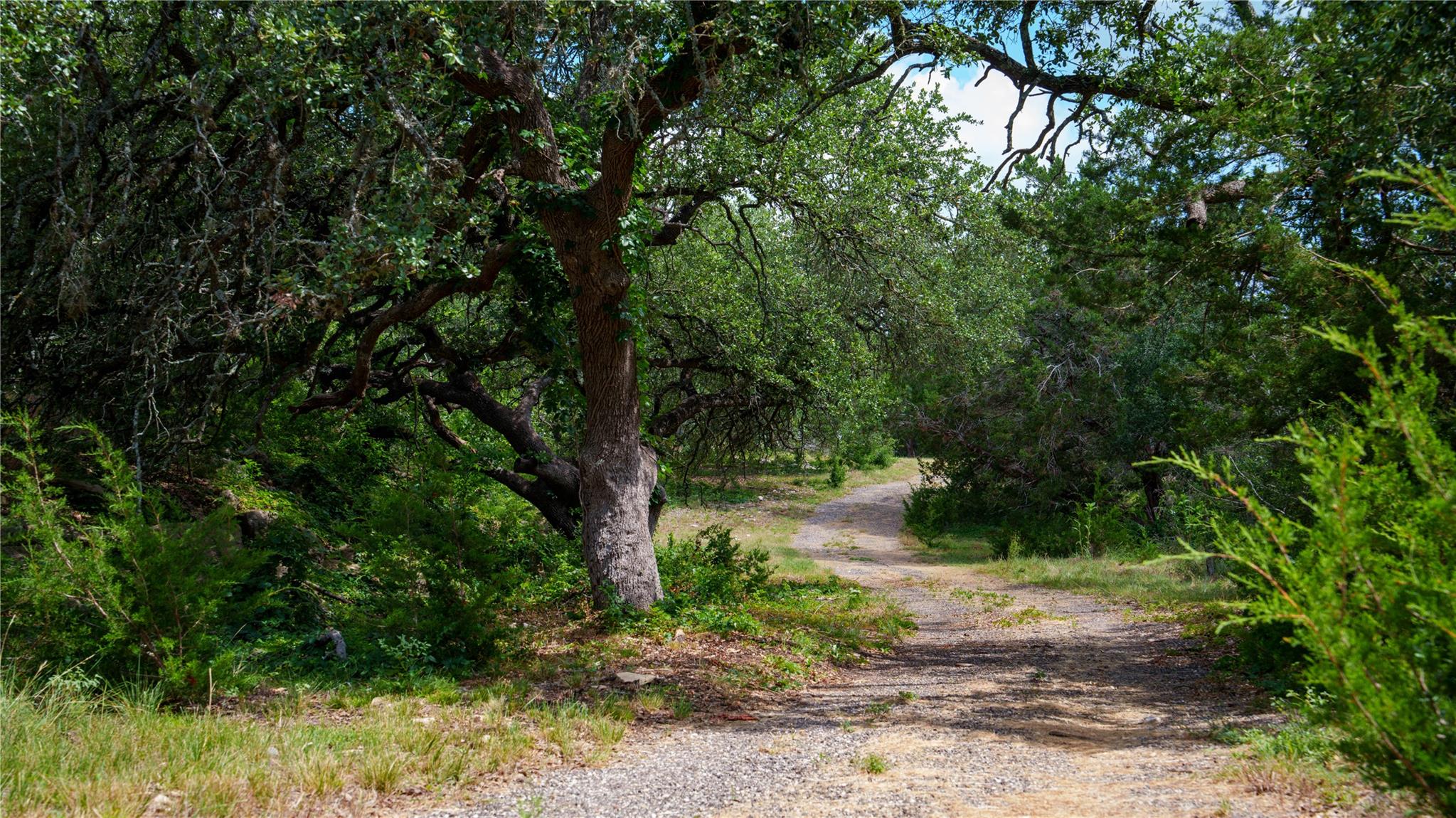 2041 Lone Man Mountain Rd Property Photo 3
