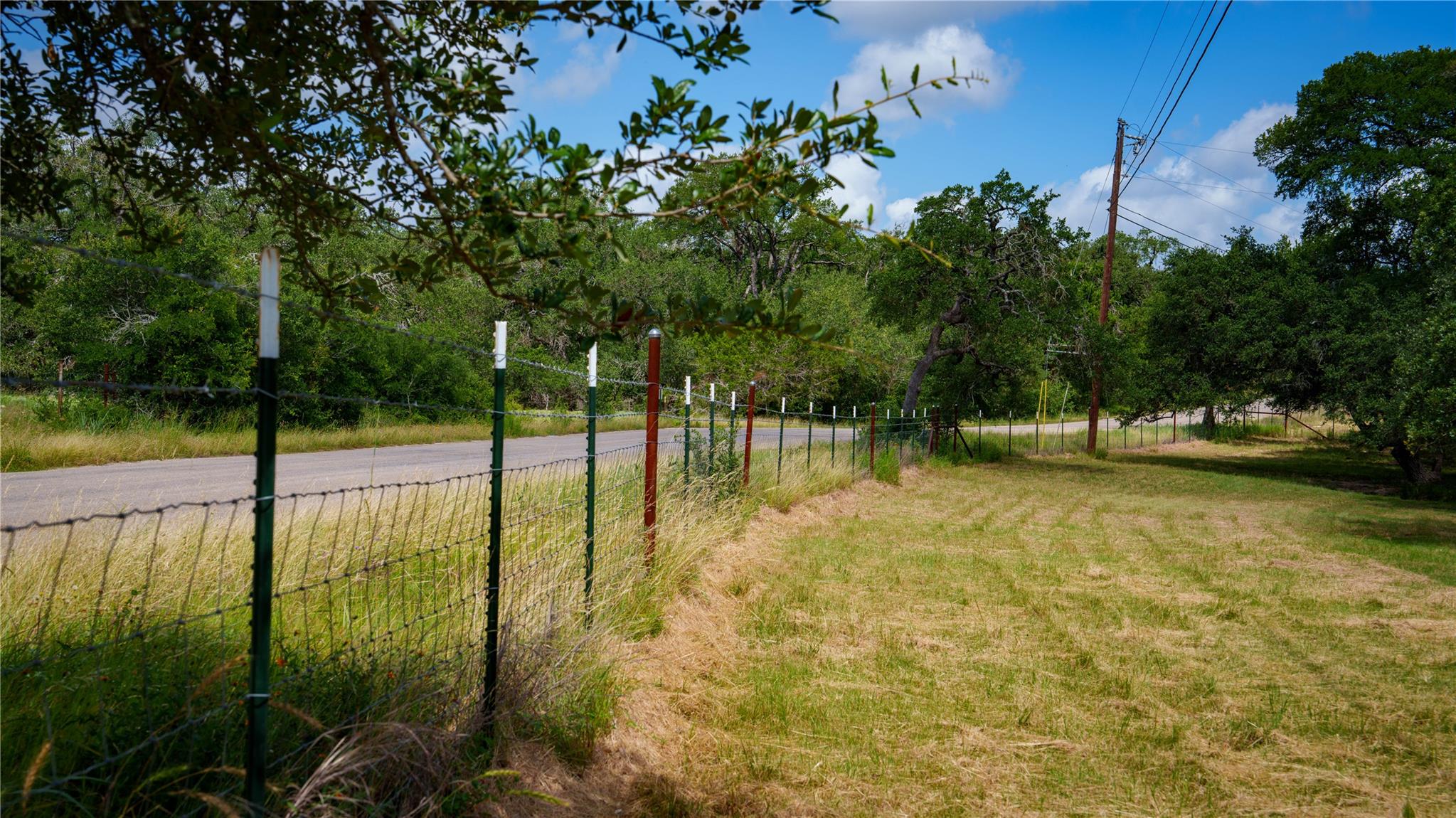 2041 Lone Man Mountain Rd Property Photo 4
