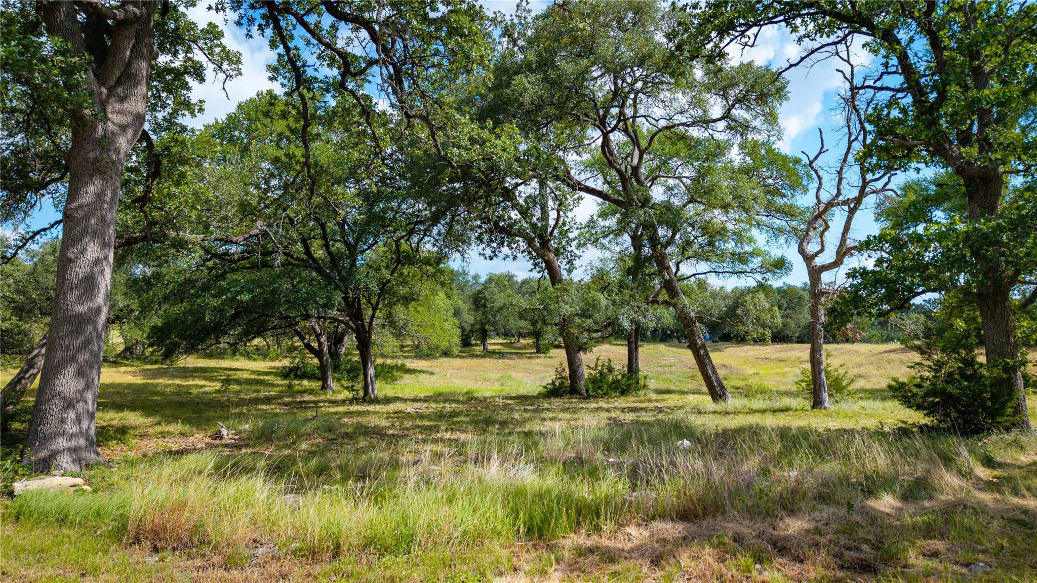2041 Lone Man Mountain Rd Property Photo 5
