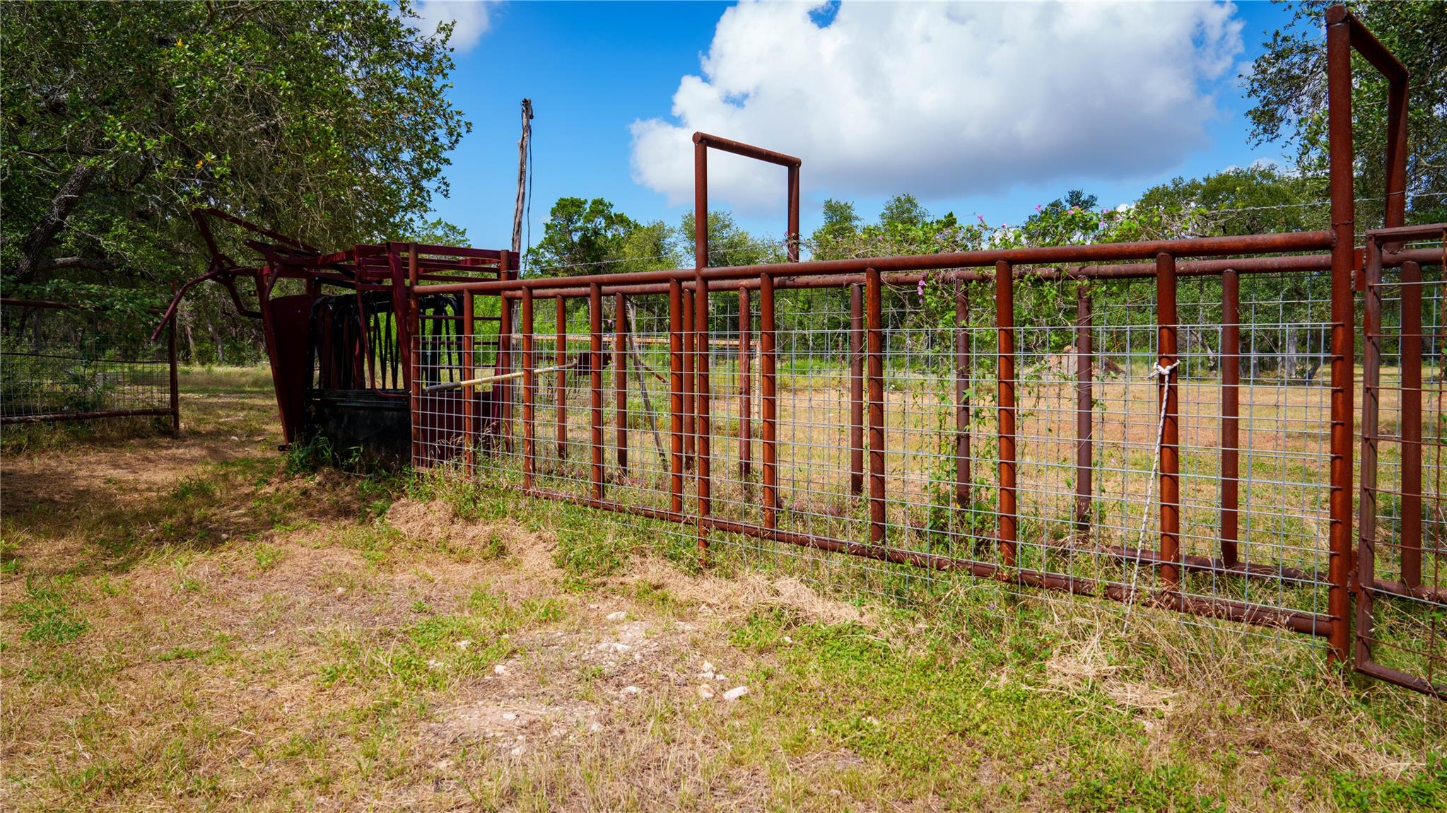 2041 Lone Man Mountain Rd Property Photo 10