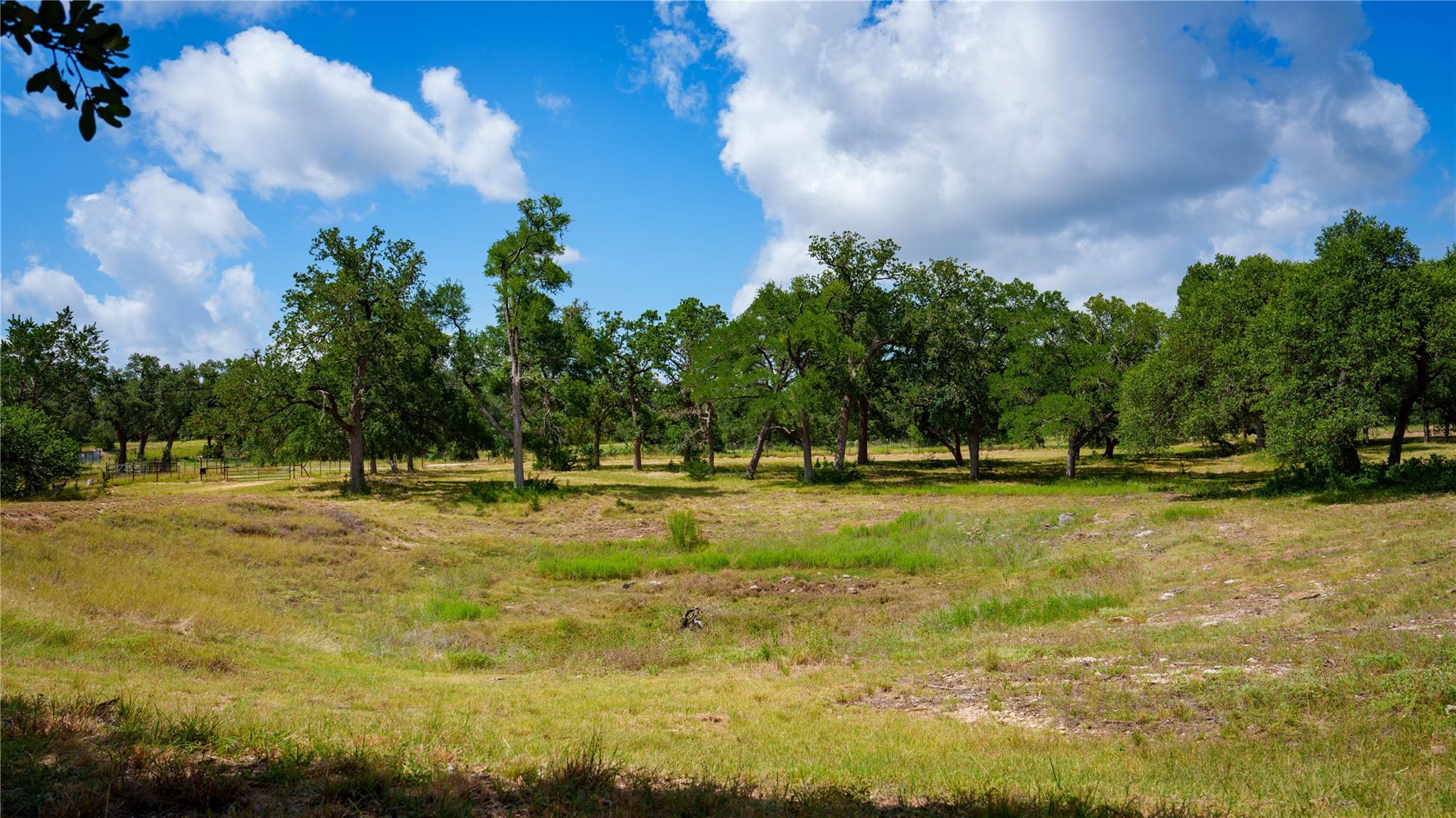 2041 Lone Man Mountain Rd Property Photo 12