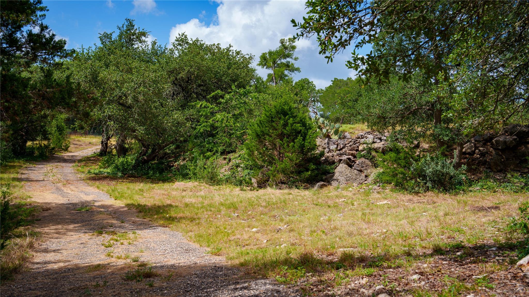 2041 Lone Man Mountain Rd Property Photo 13