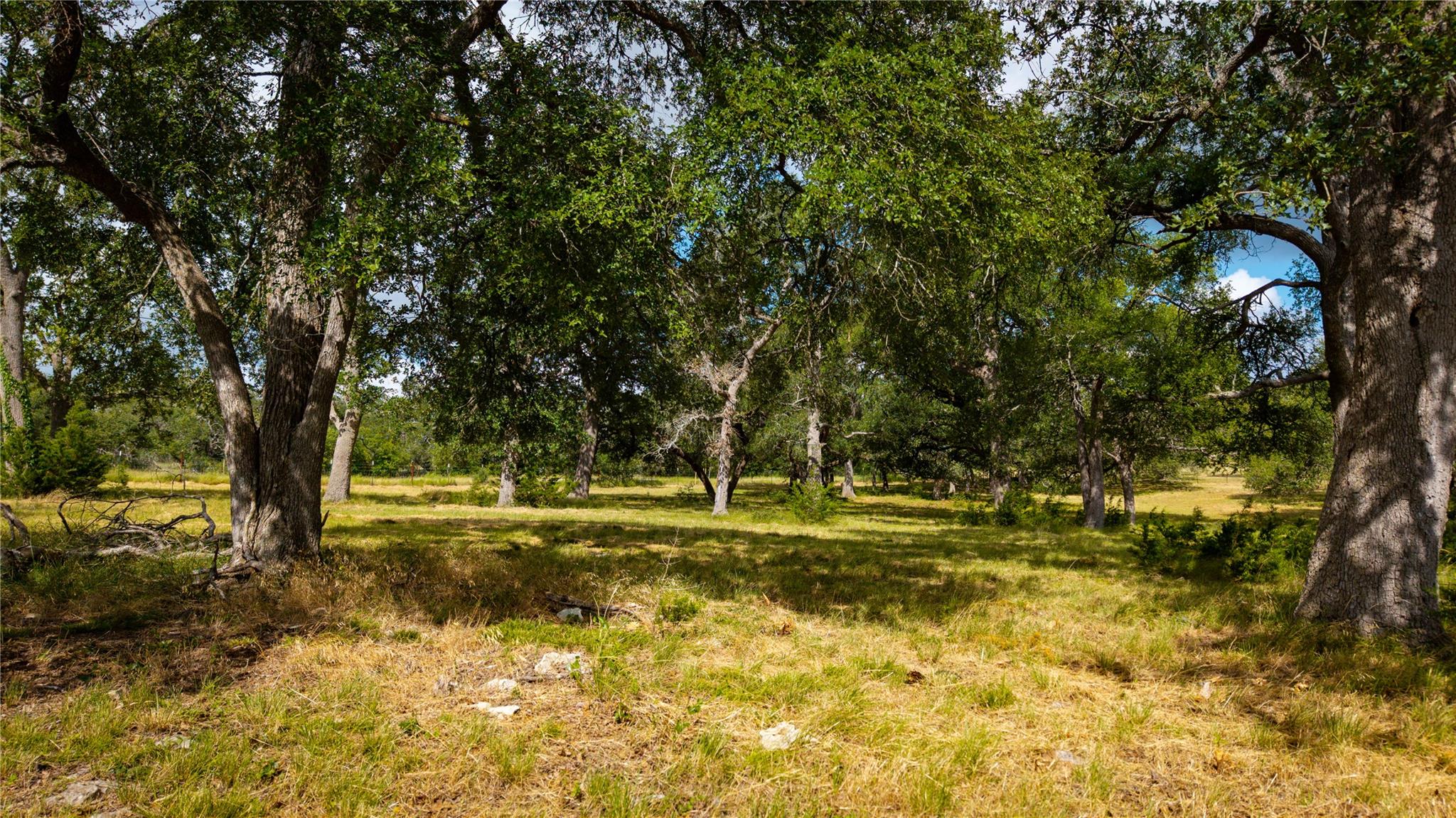 2041 Lone Man Mountain Rd Property Photo 16