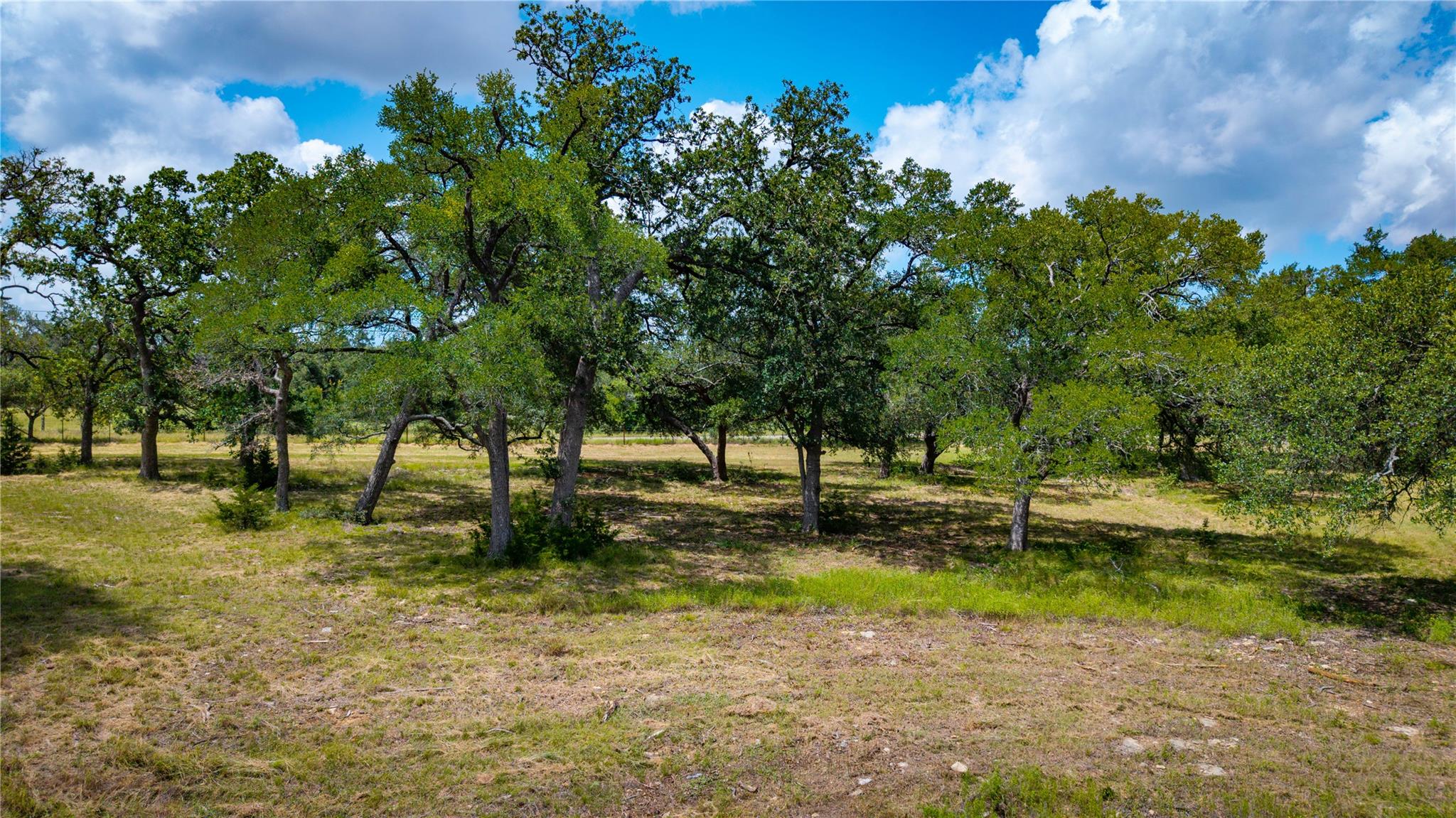 2041 Lone Man Mountain Rd Property Photo 17