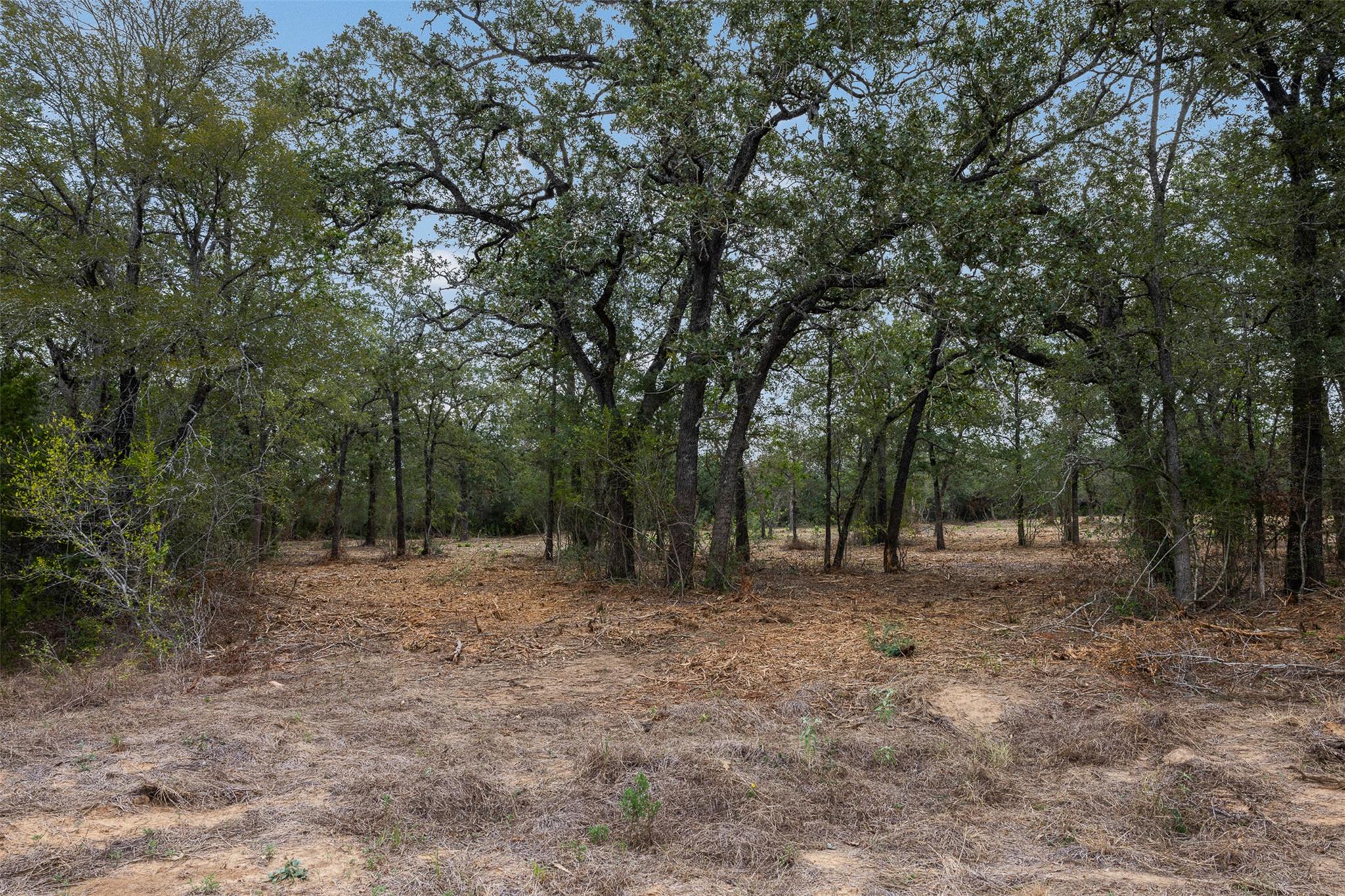 Lot 3 Cr 491 None Property Photo 2