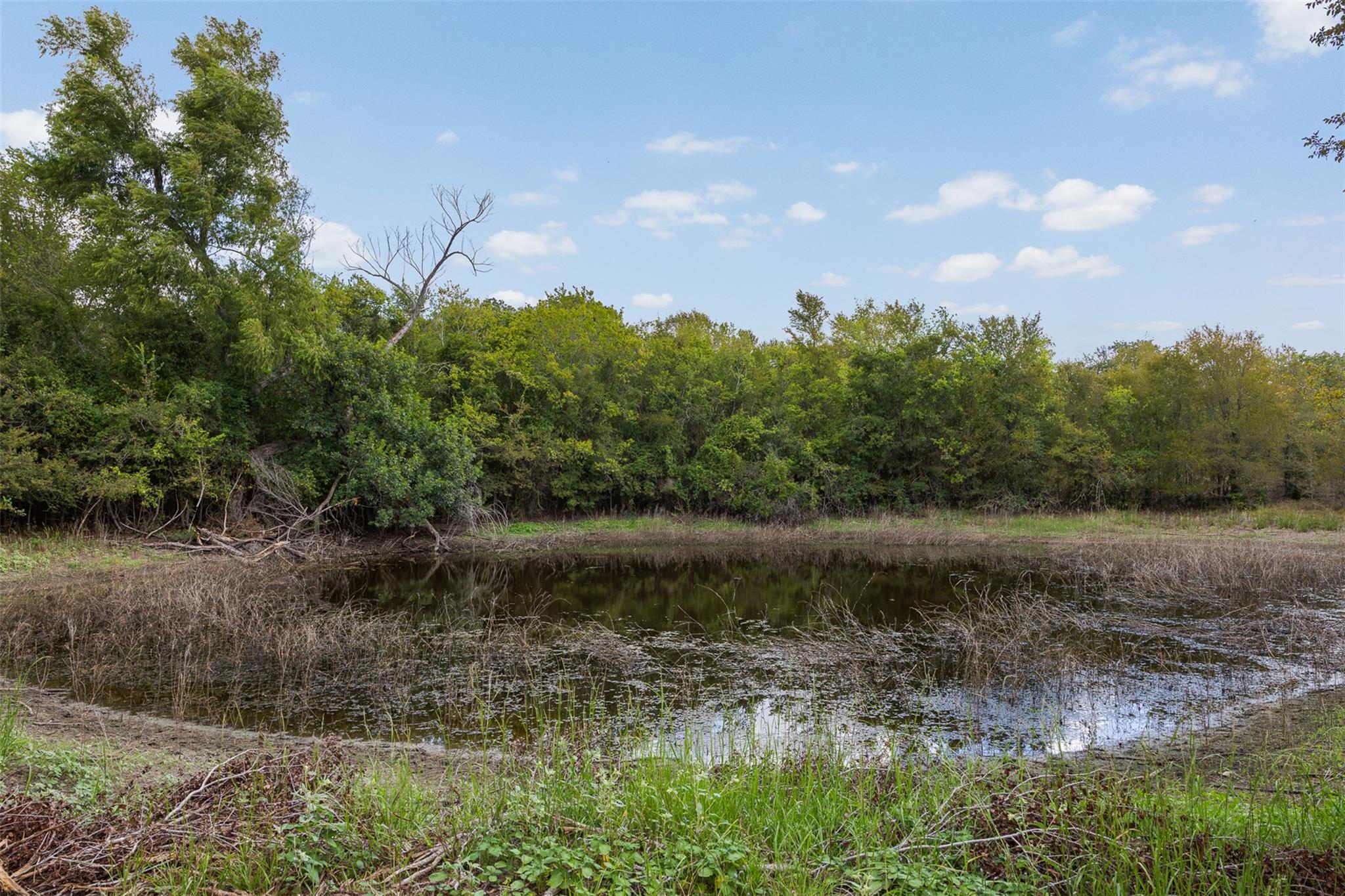 Lot 3 Cr 491 None Property Photo 5
