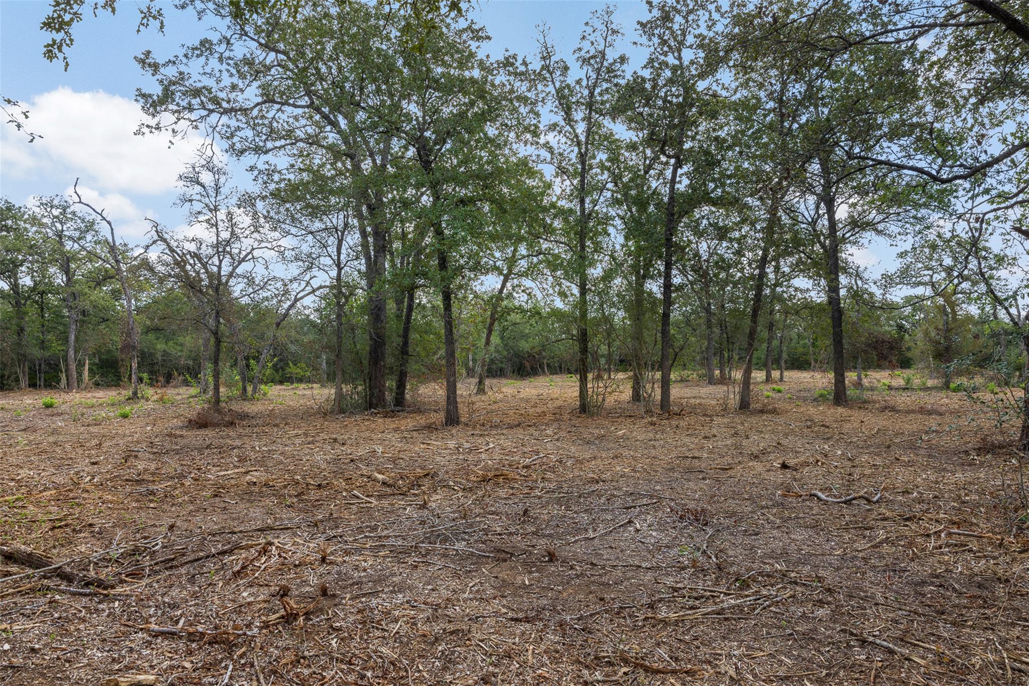 Lot 3 Cr 491 None Property Photo 7