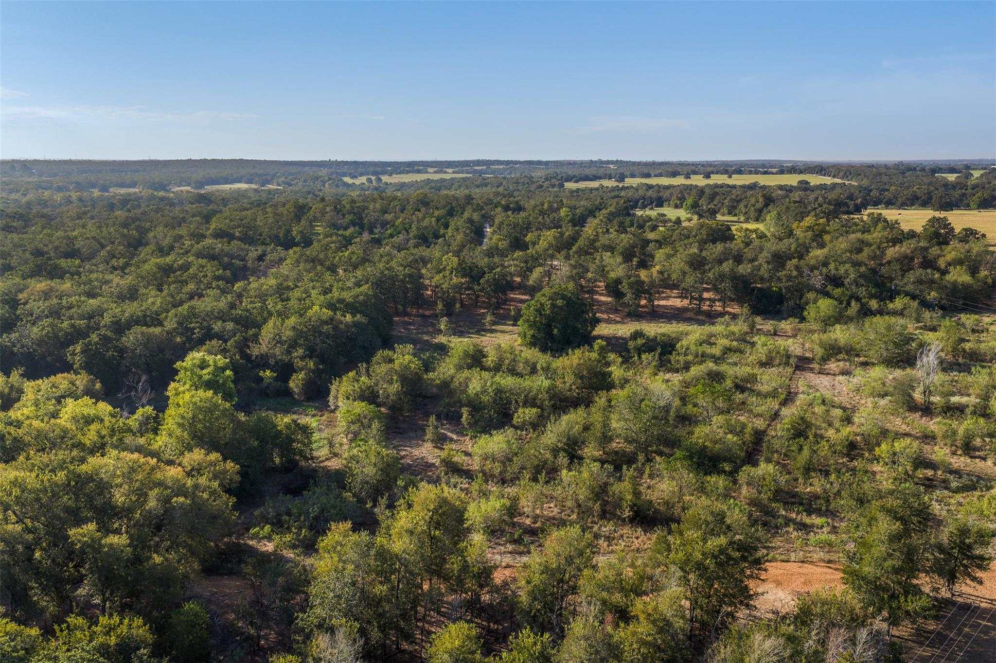Lot 3 Cr 491 None Property Photo 13