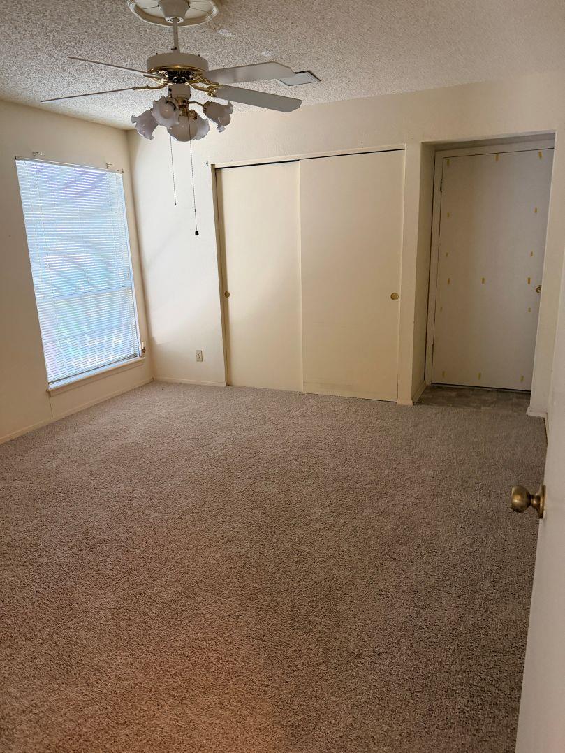 5500 Buffalo Pass #a Property Photo 5