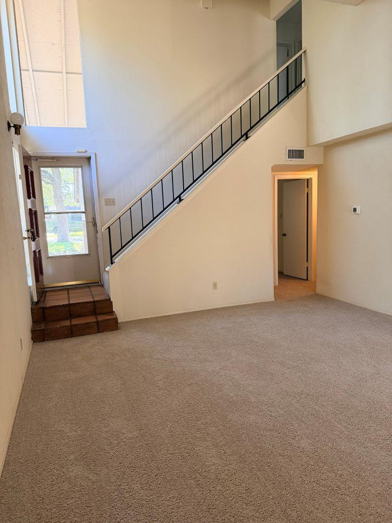 5500 Buffalo Pass #a Property Photo 9