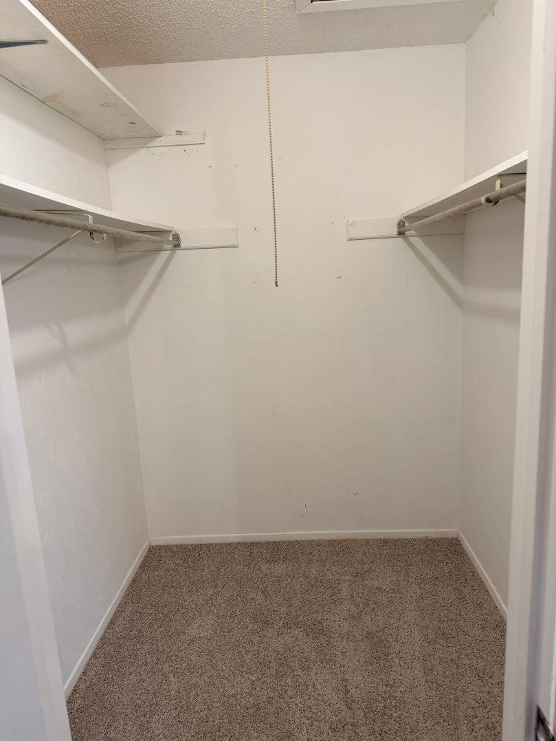 5500 Buffalo Pass #a Property Photo 11