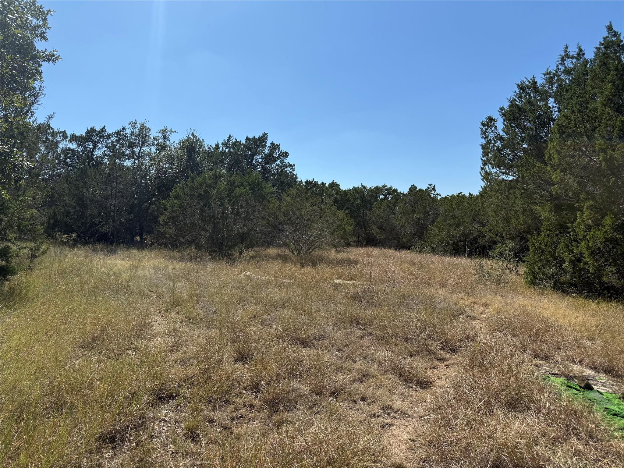 917 Roy Creek Trl Property Photo 1