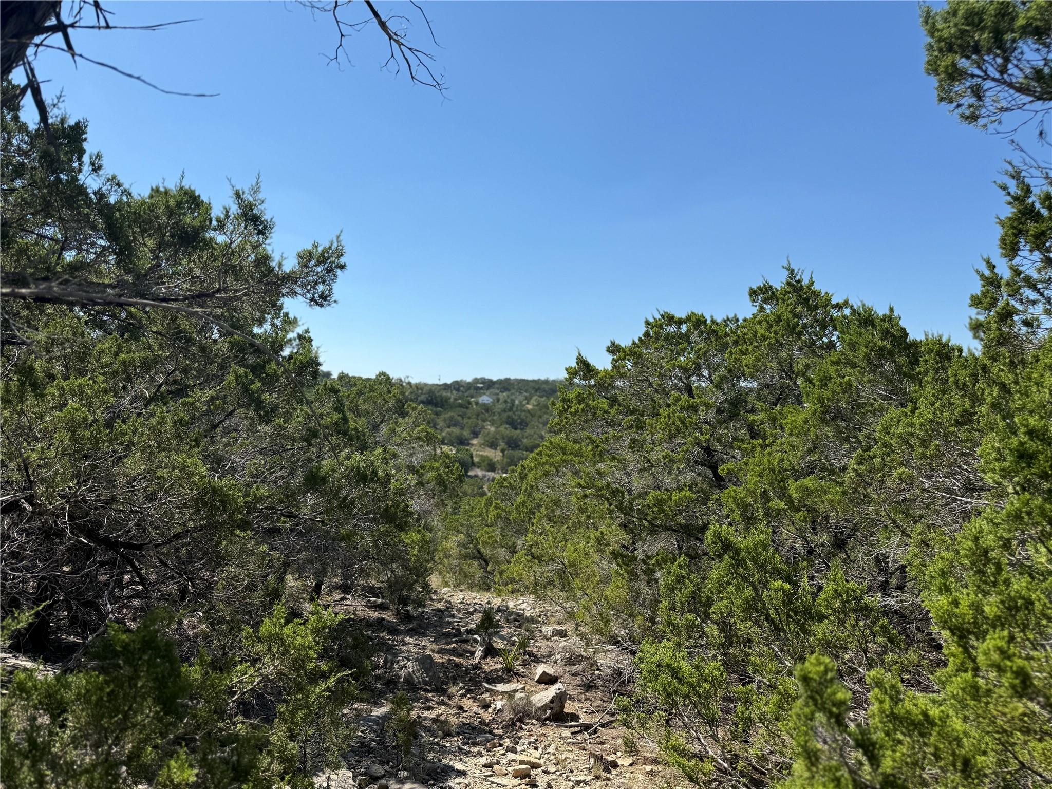 917 Roy Creek Trl Property Photo 3