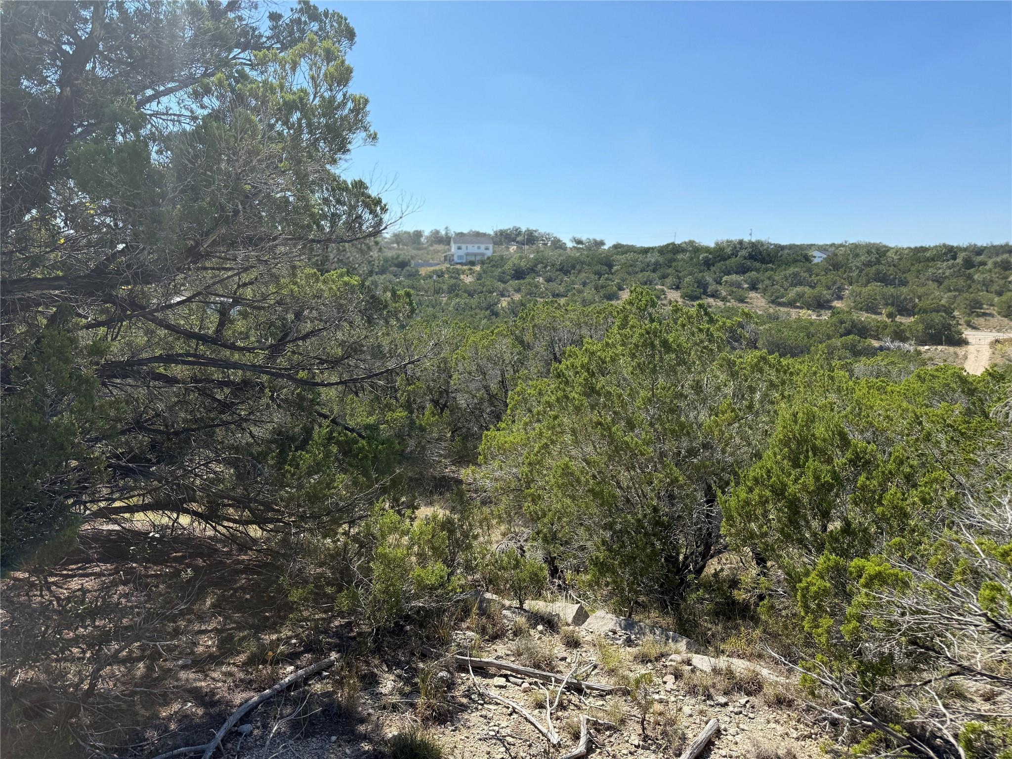 917 Roy Creek Trl Property Photo 6