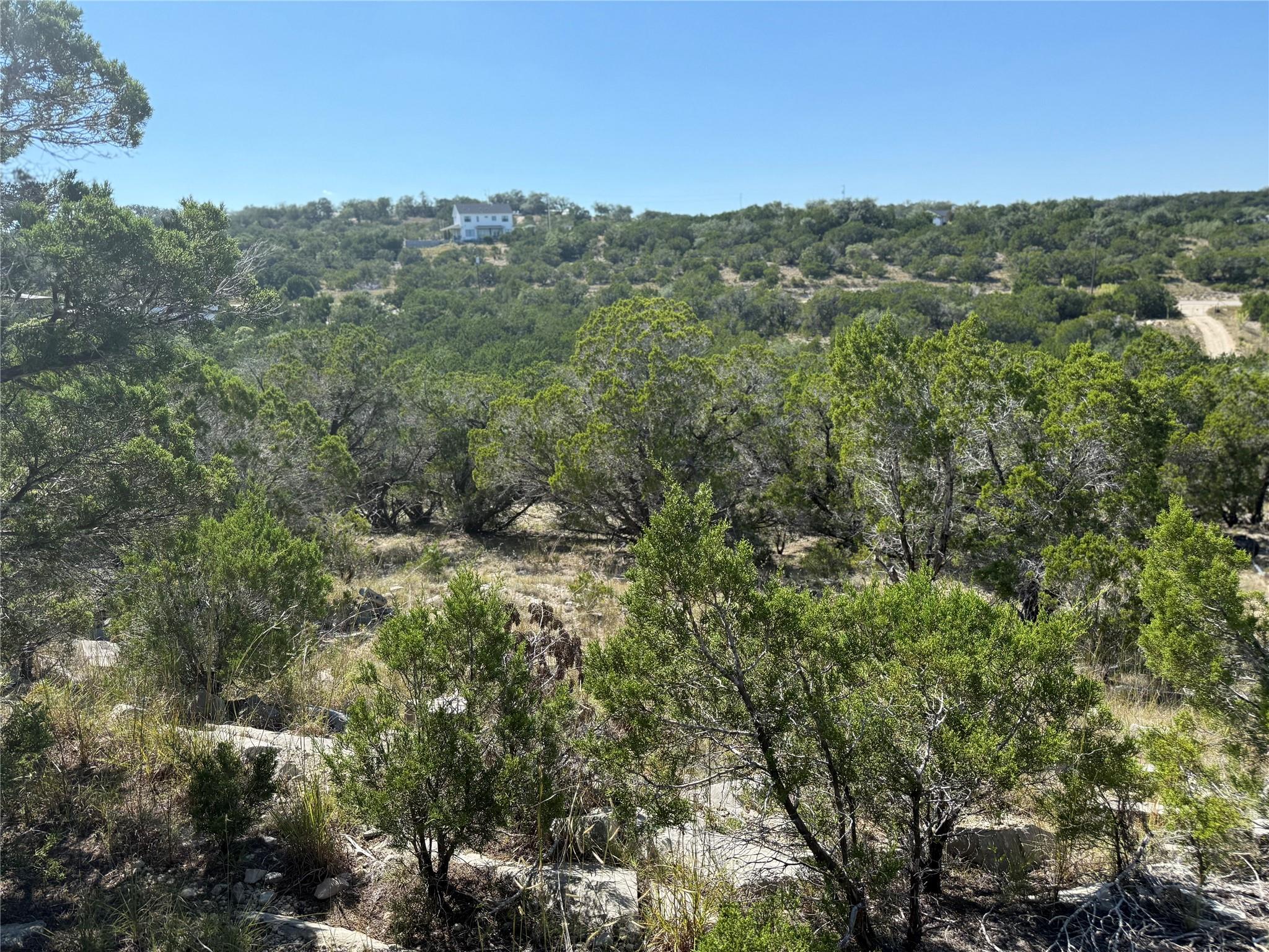 917 Roy Creek Trl Property Photo 8