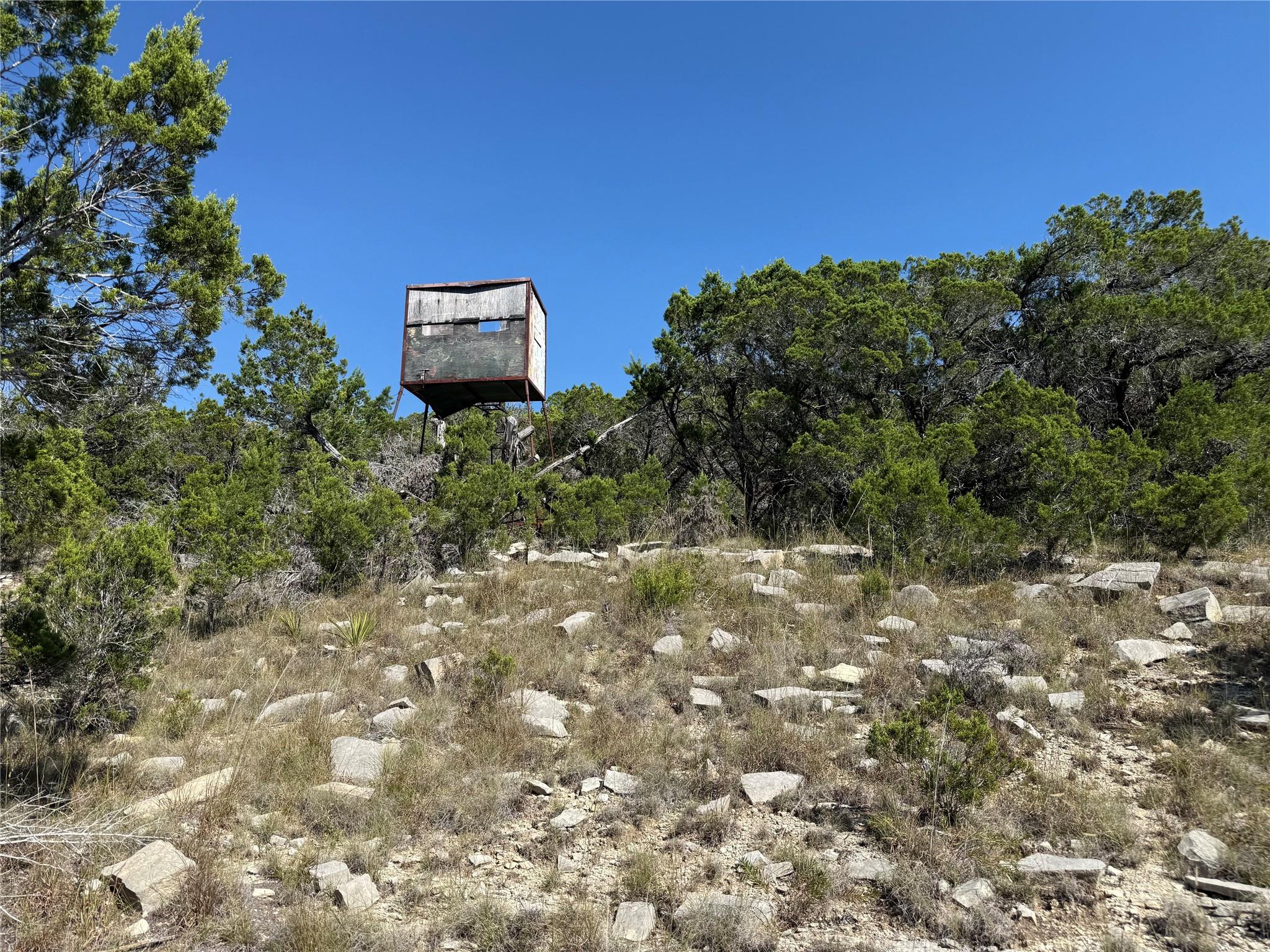 917 Roy Creek Trl Property Photo 9