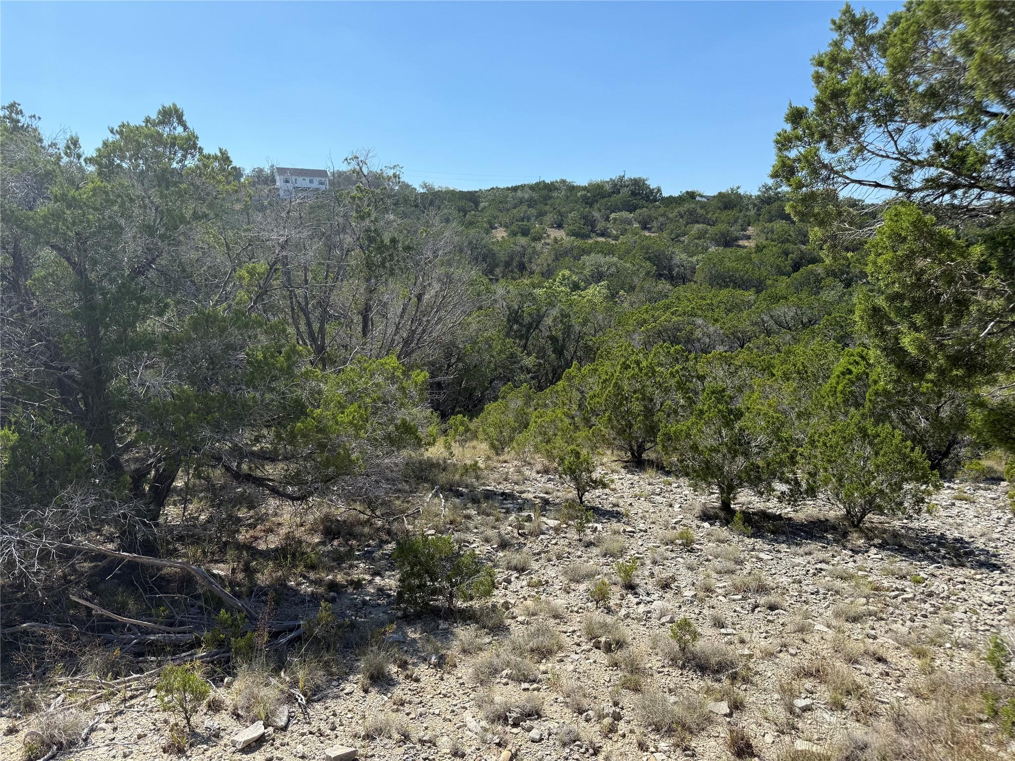 917 Roy Creek Trl Property Photo 11