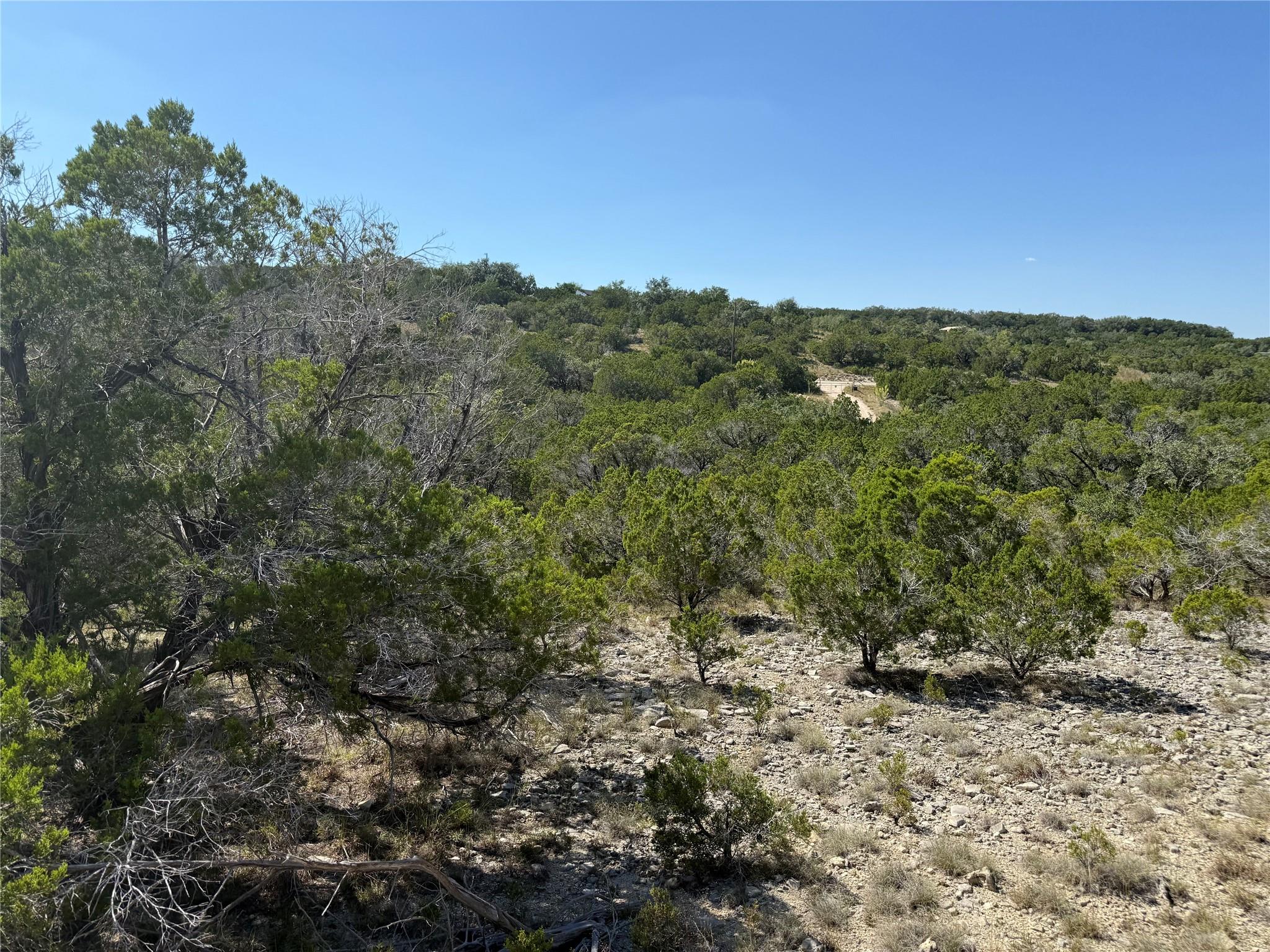 917 Roy Creek Trl Property Photo 12