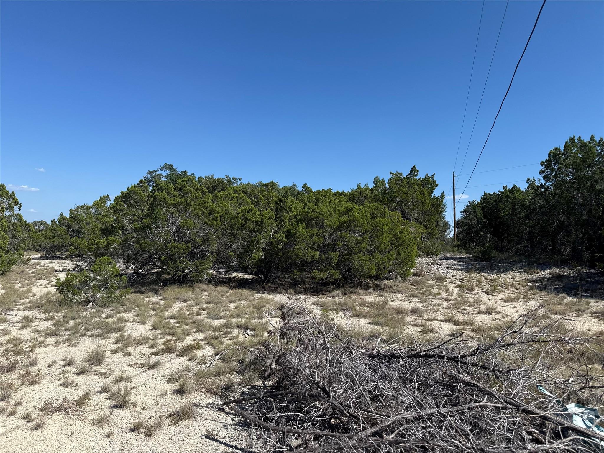 917 Roy Creek Trl Property Photo 14