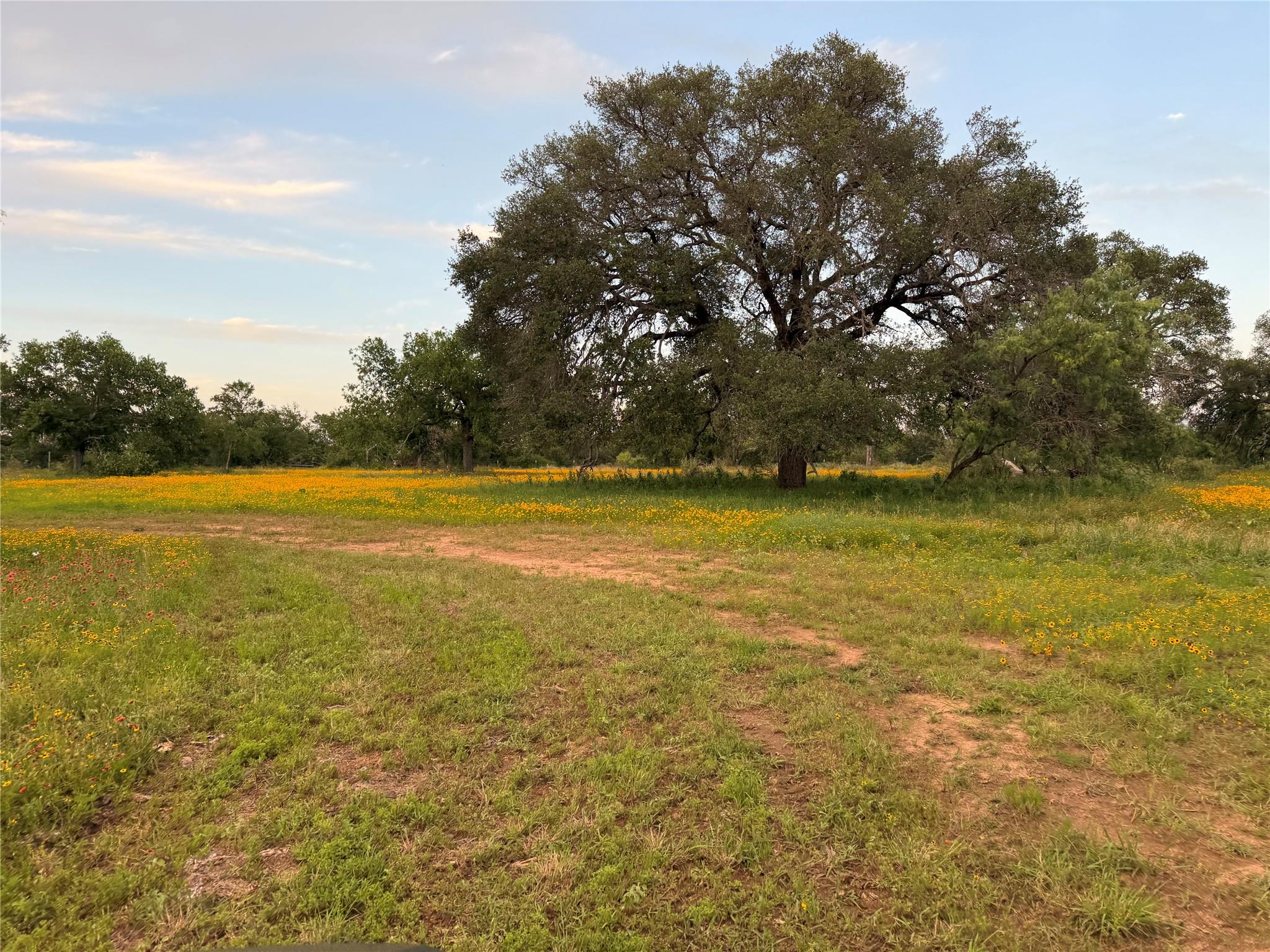 Tbd Fm 1980 None Property Photo 1
