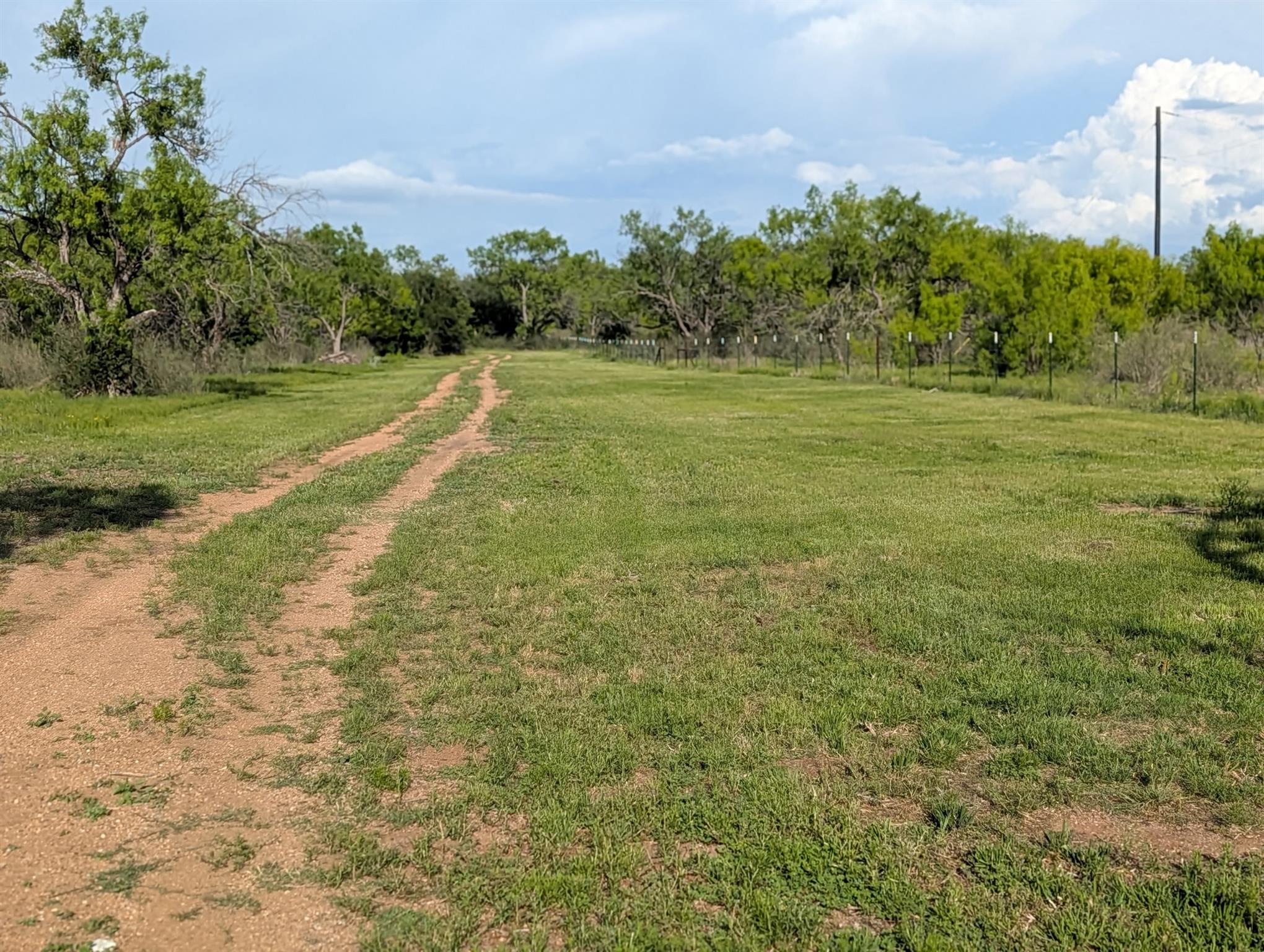 Tbd Fm 1980 None Property Photo 12