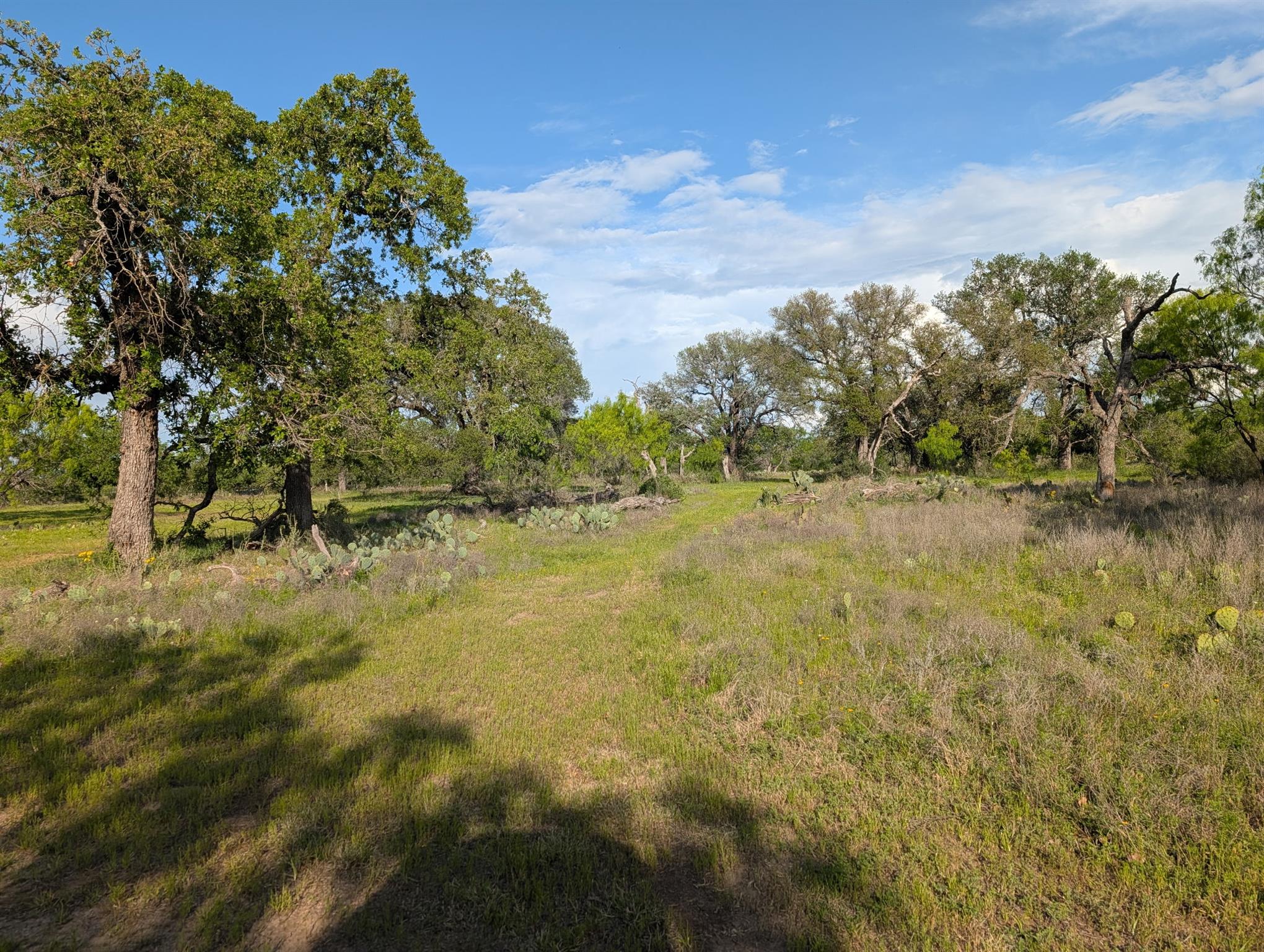 Tbd Fm 1980 None Property Photo 14