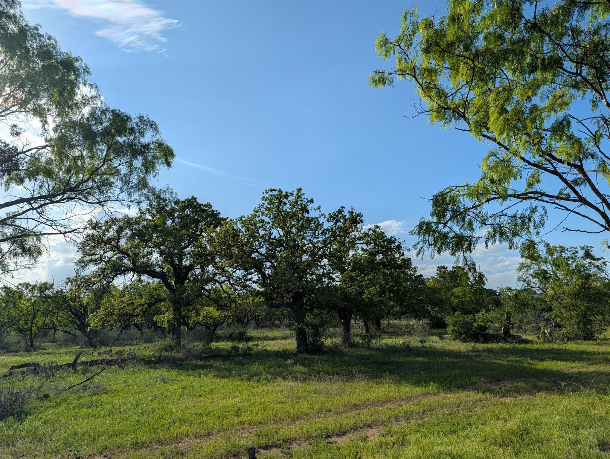 Tbd Fm 1980 None Property Photo 15