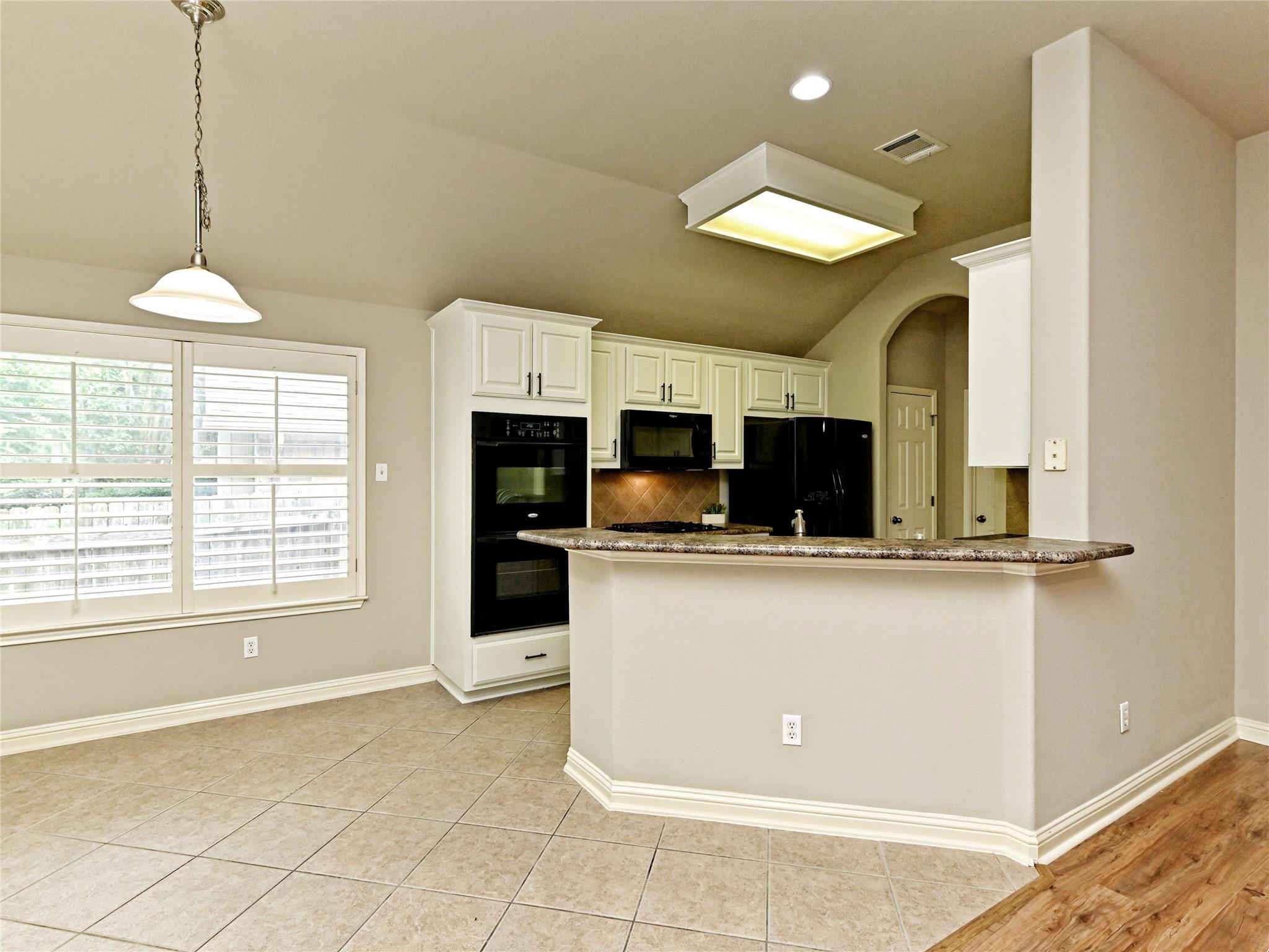 10009 Buffalo Lake Ln Property Photo 17