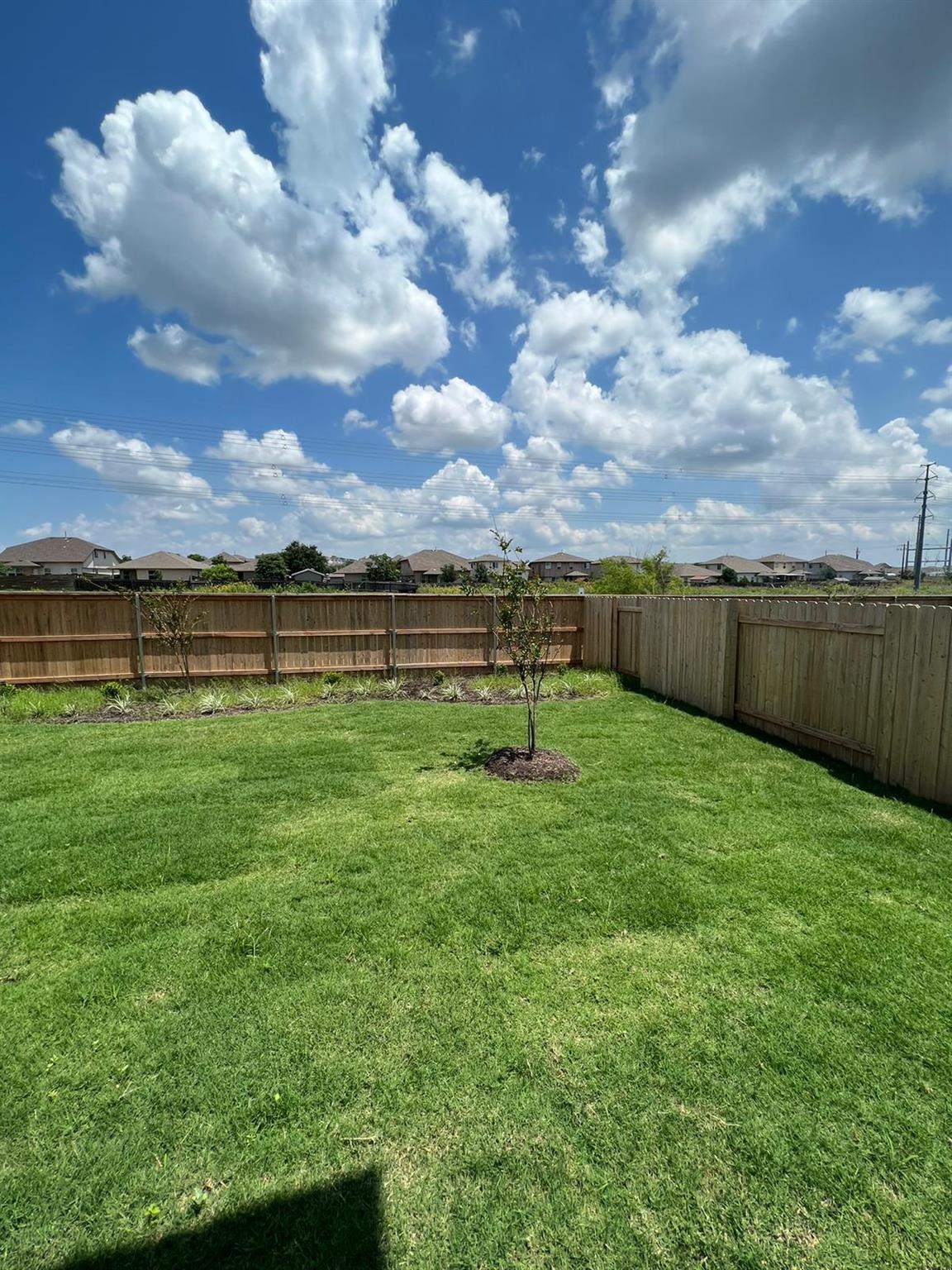 12204 Scarlet Sleeve Way Property Photo 16