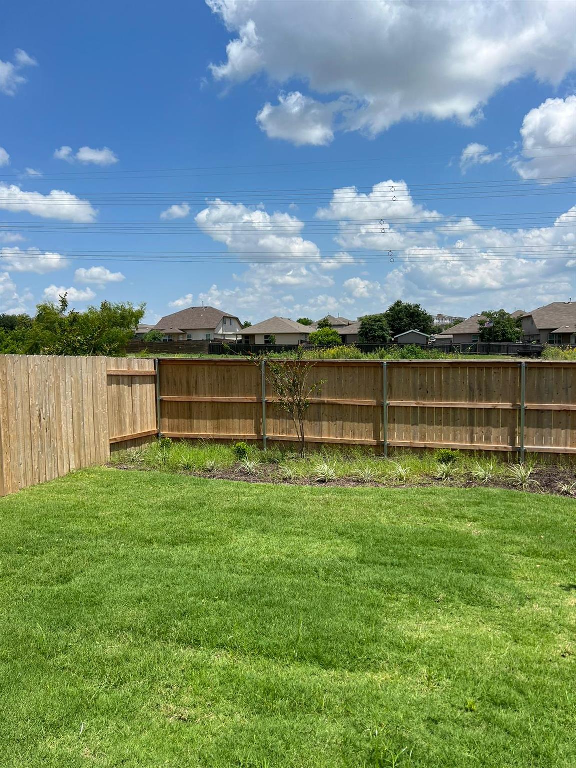 12204 Scarlet Sleeve Way Property Photo 17