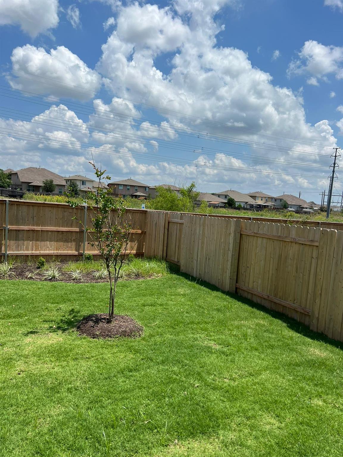 12204 Scarlet Sleeve Way Property Photo 18