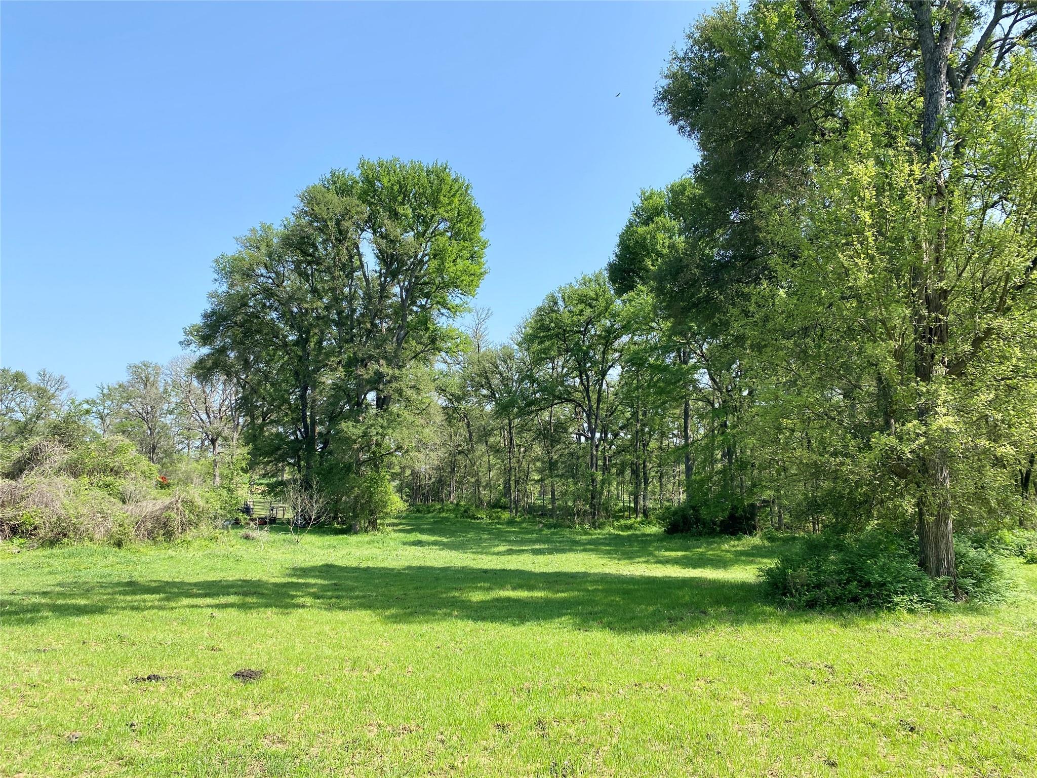 1985 Cr 309 Property Photo 7