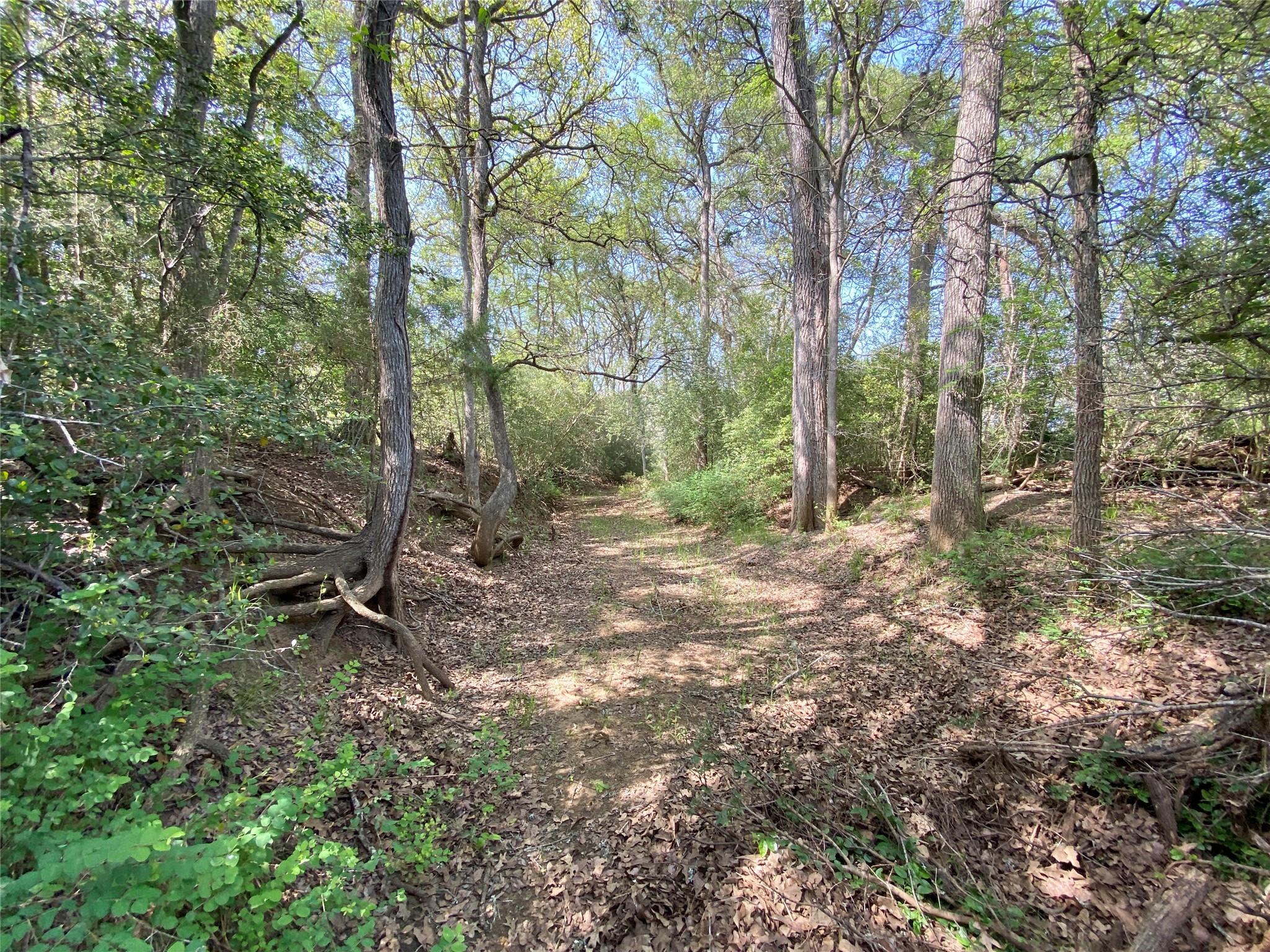 1985 Cr 309 Property Photo 9