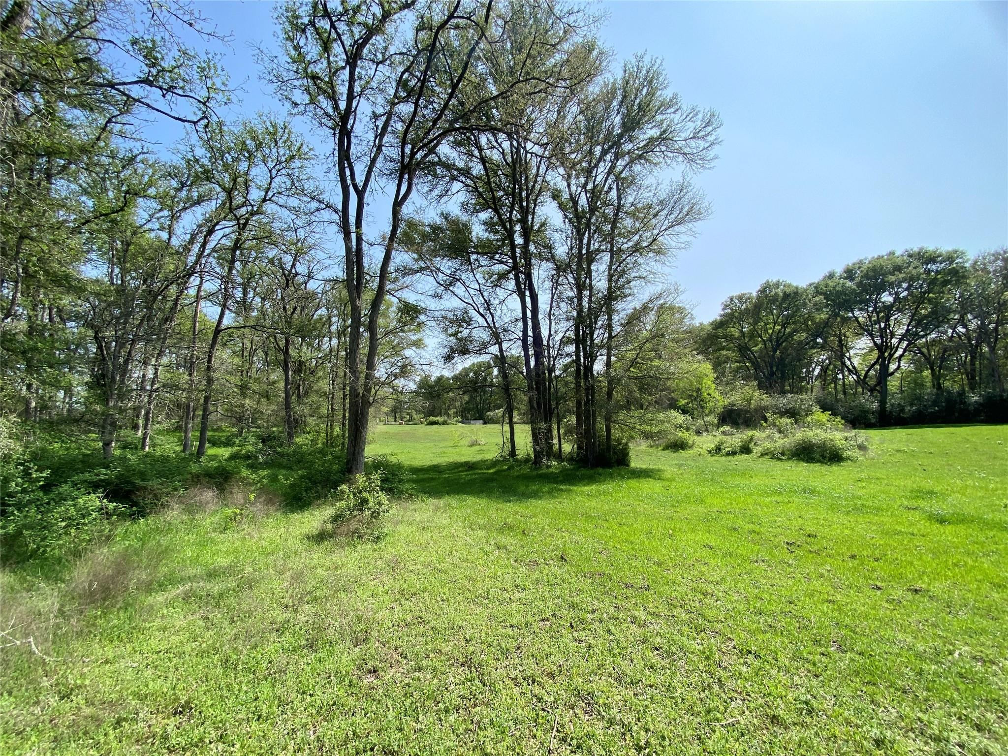 1985 Cr 309 Property Photo 10