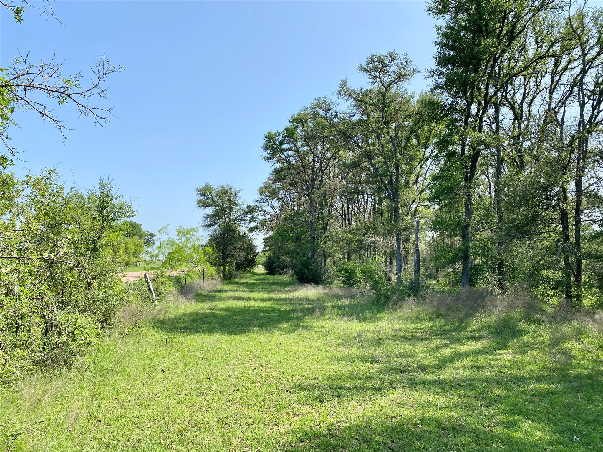 1985 Cr 309 Property Photo 13