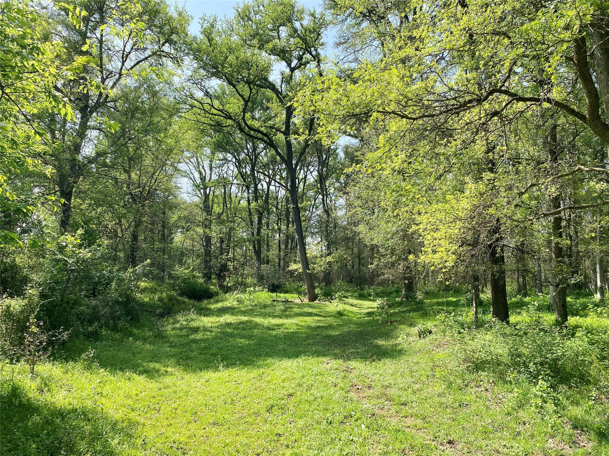 1985 Cr 309 Property Photo 18