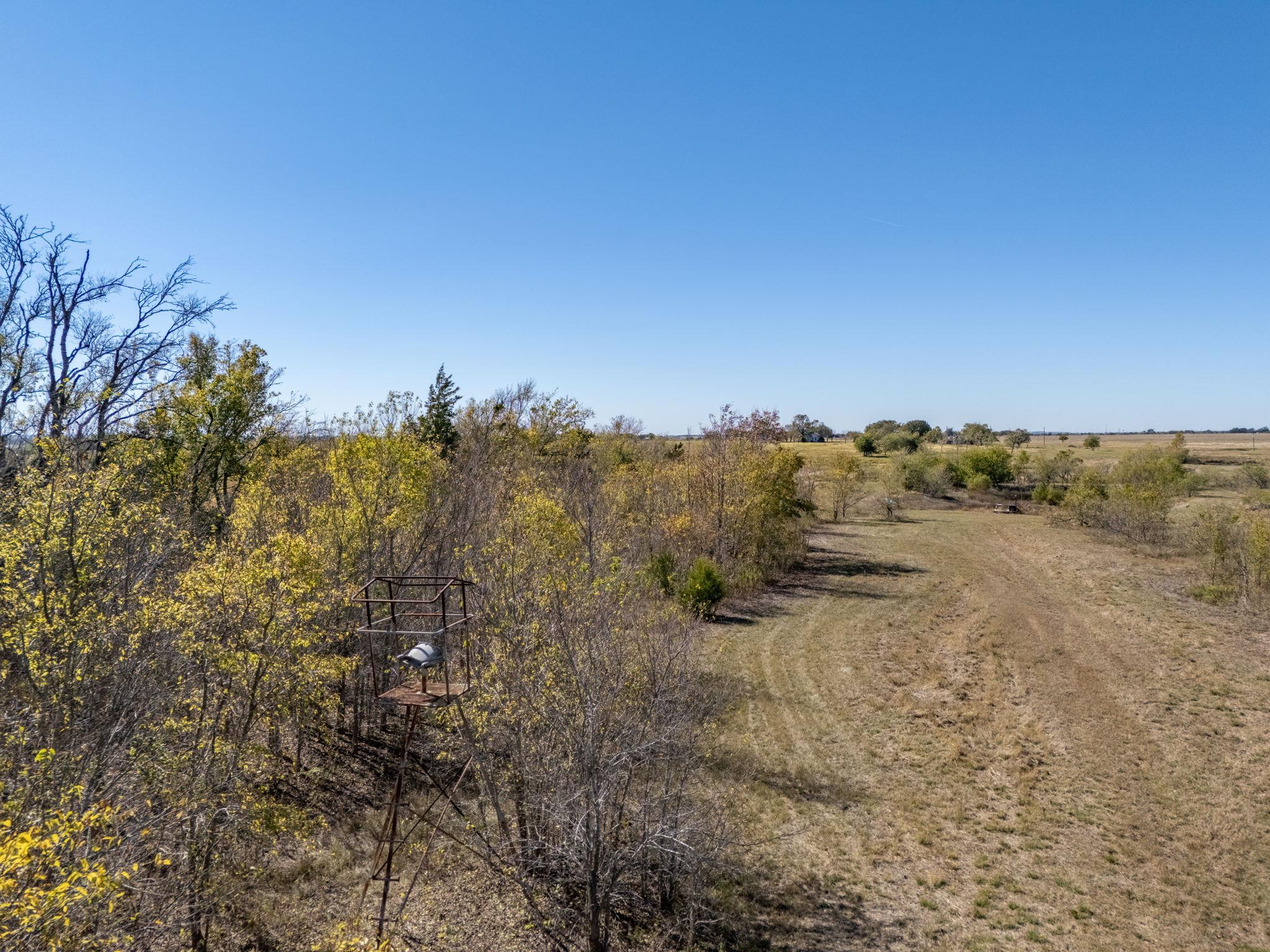 1150 County Road 432 None Property Photo 14