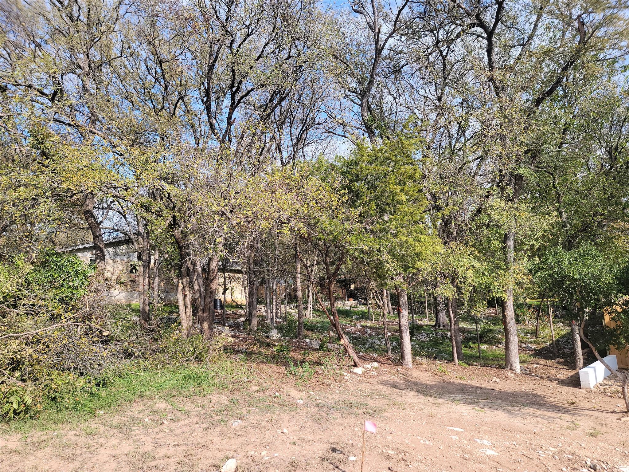 7905 Ceberry Dr Property Photo 3