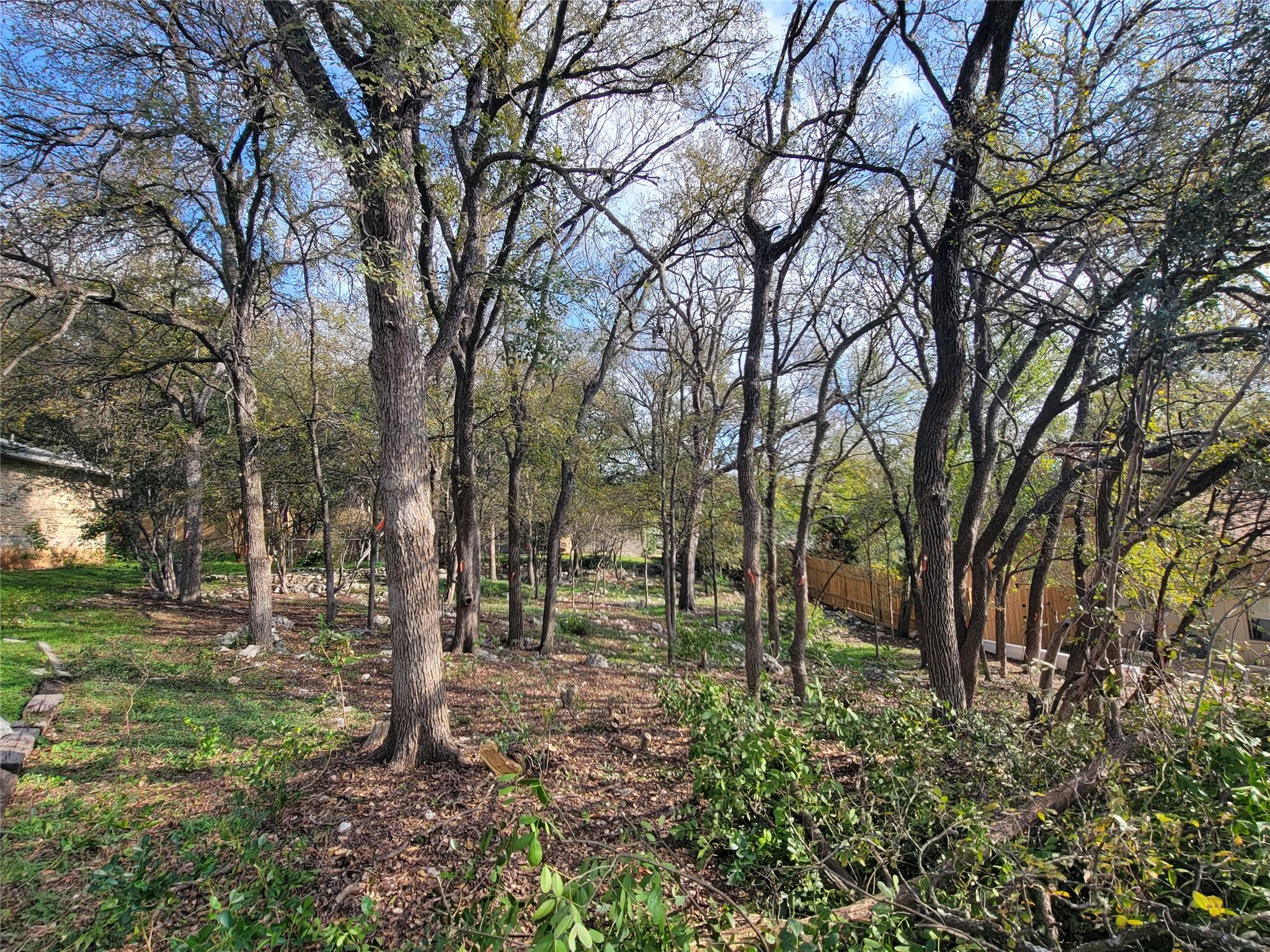 7905 Ceberry Dr Property Photo 4
