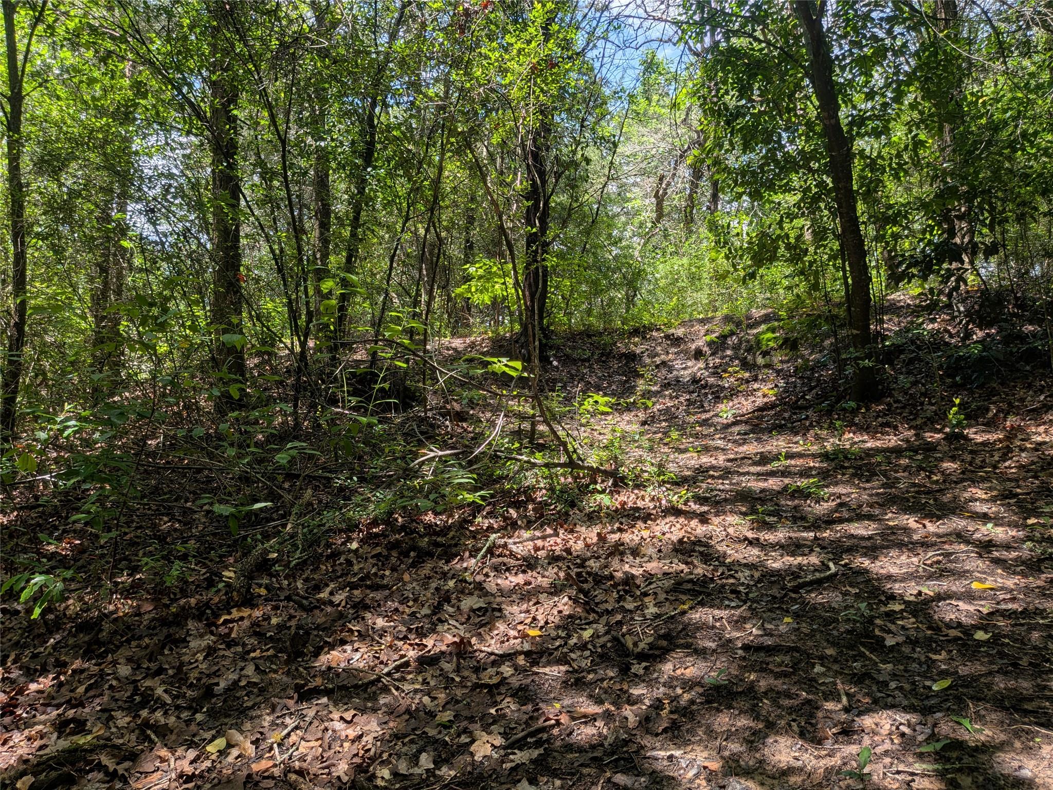 9278 N Highway 77 Hwy Property Photo 8