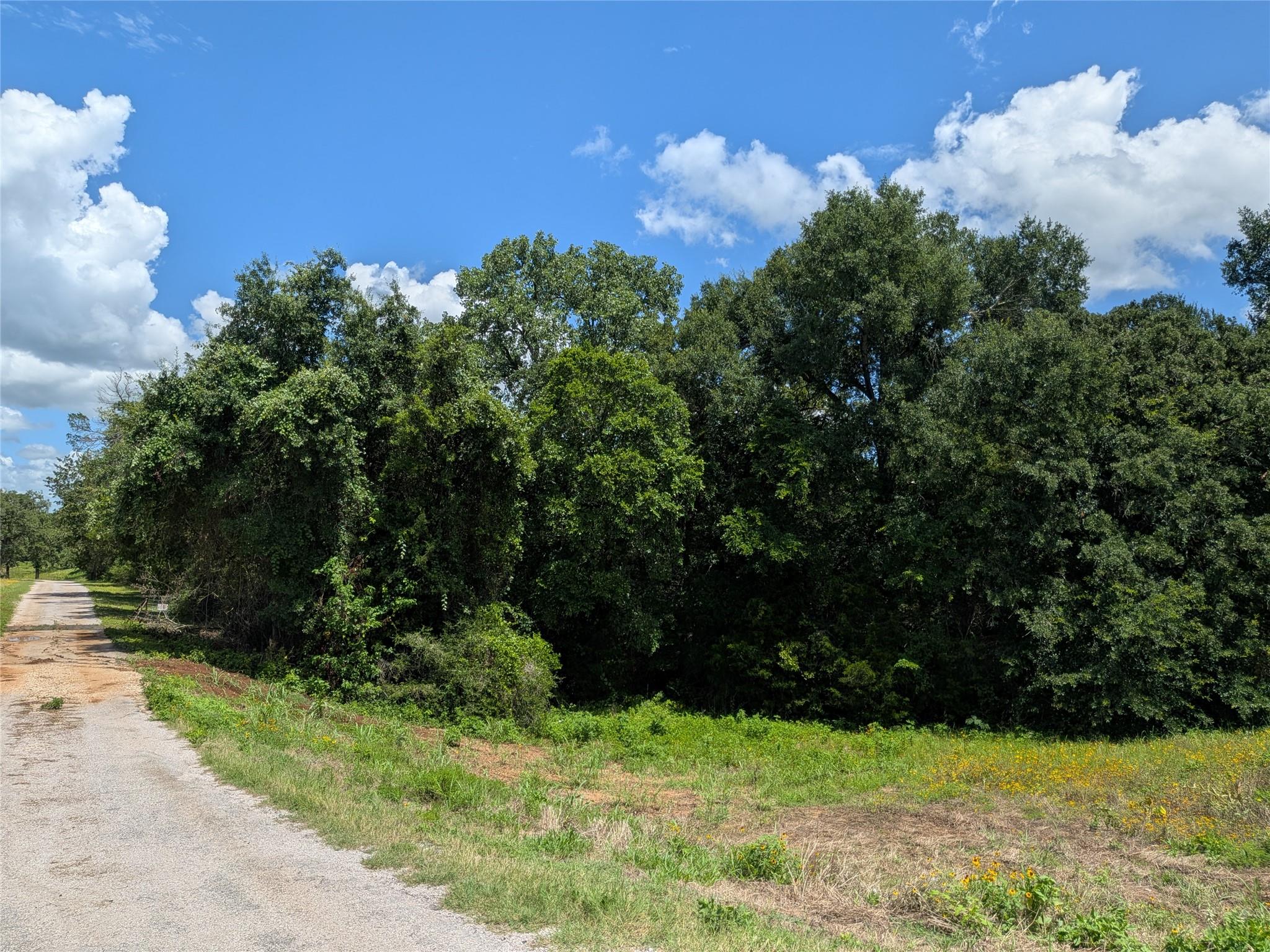 9278 N Highway 77 Hwy Property Photo 17