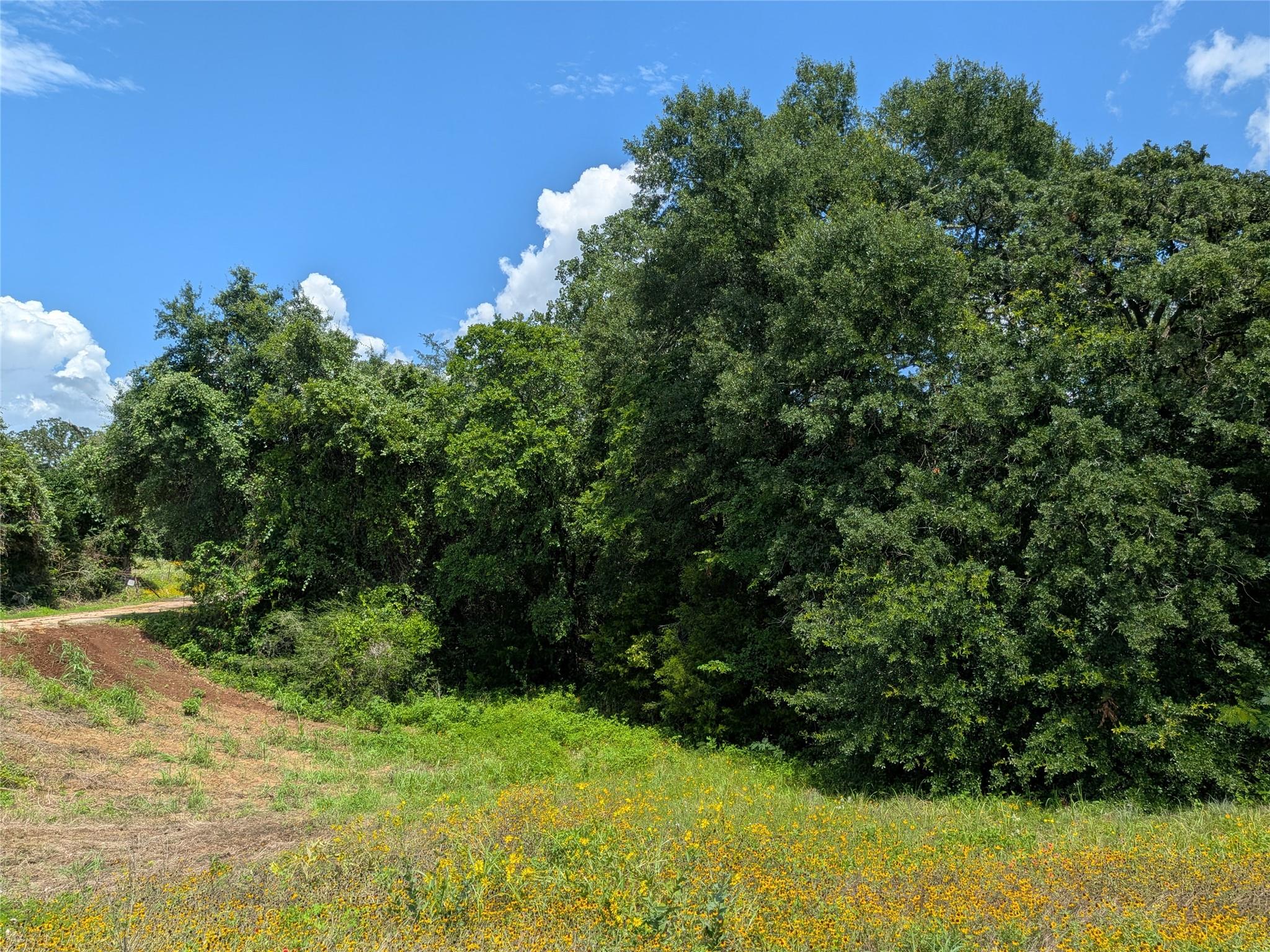 9278 N Highway 77 Hwy Property Photo 18