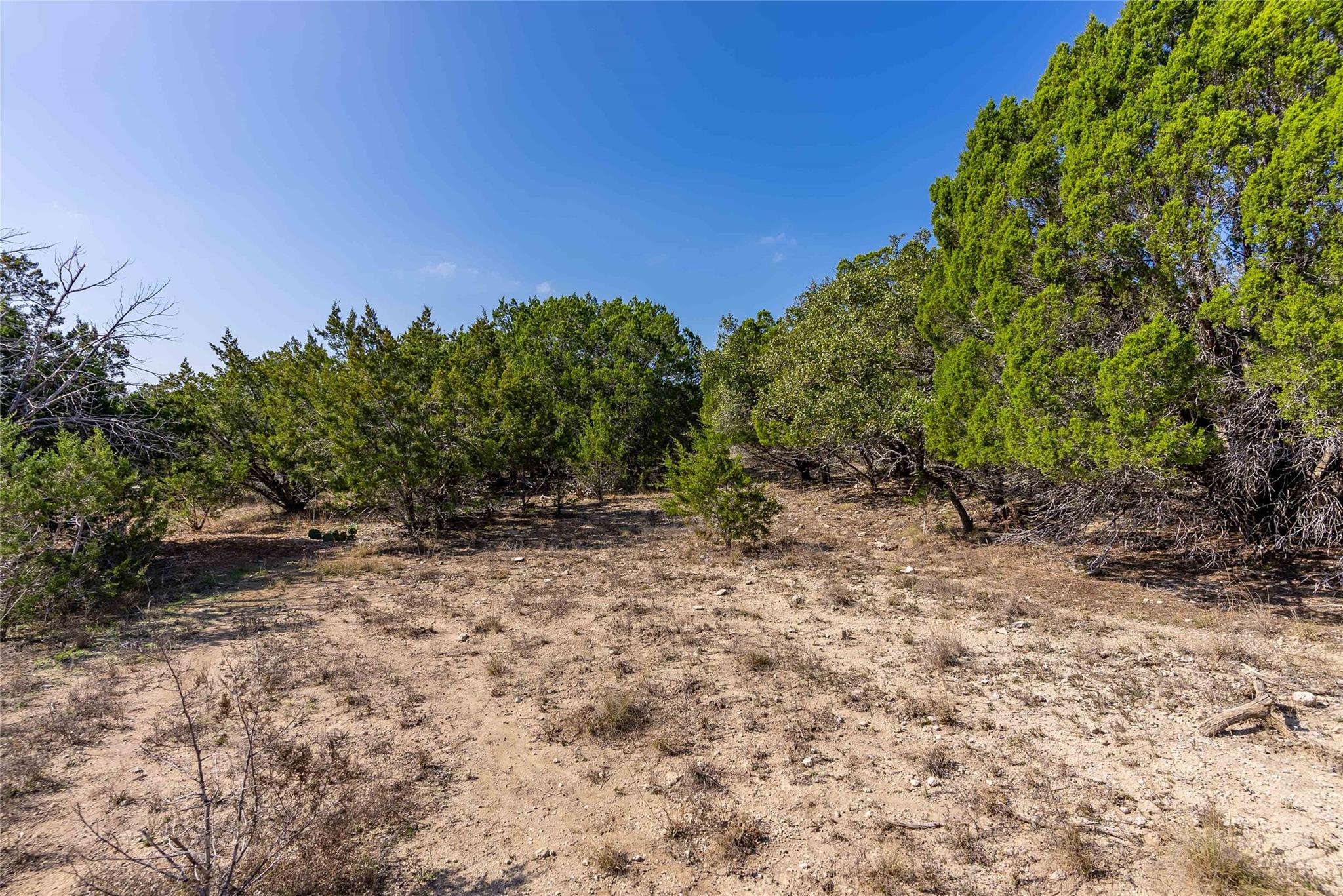 2503 Whittier Cv Property Photo 4