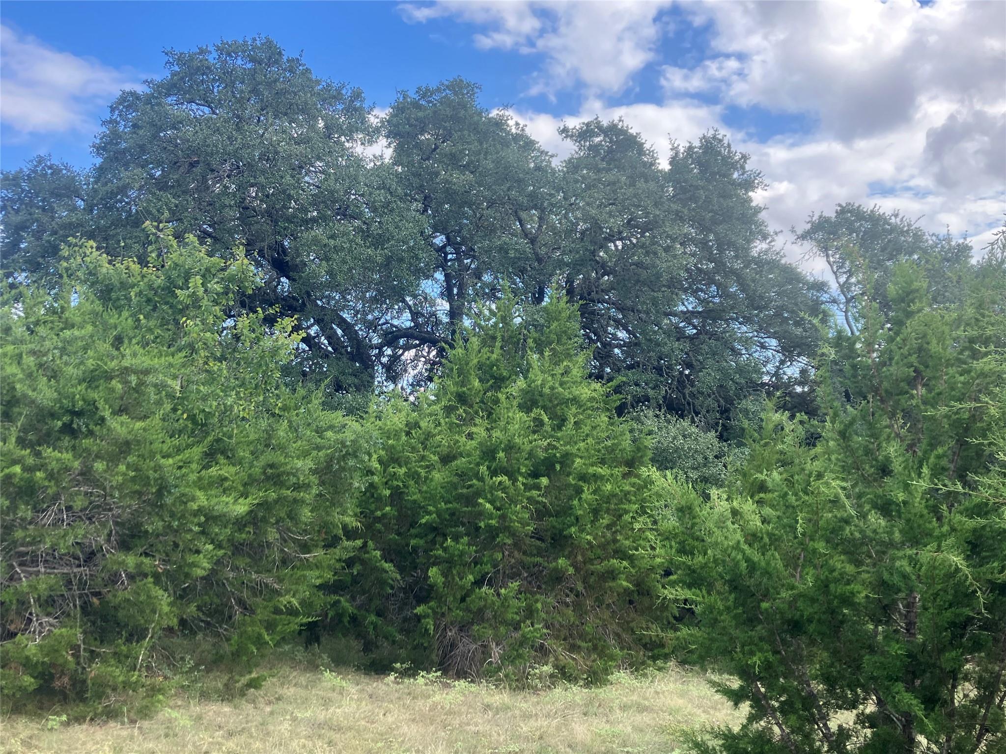 003 Post Oak Bend Loop Property Photo 23