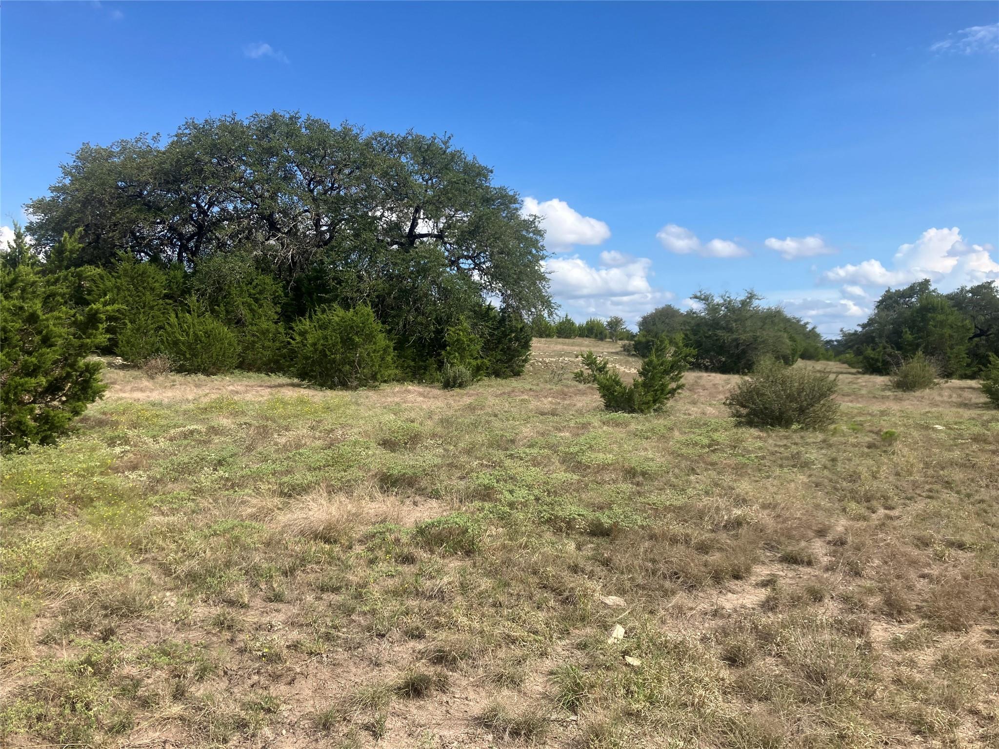 003 Post Oak Bend Loop Property Photo 28