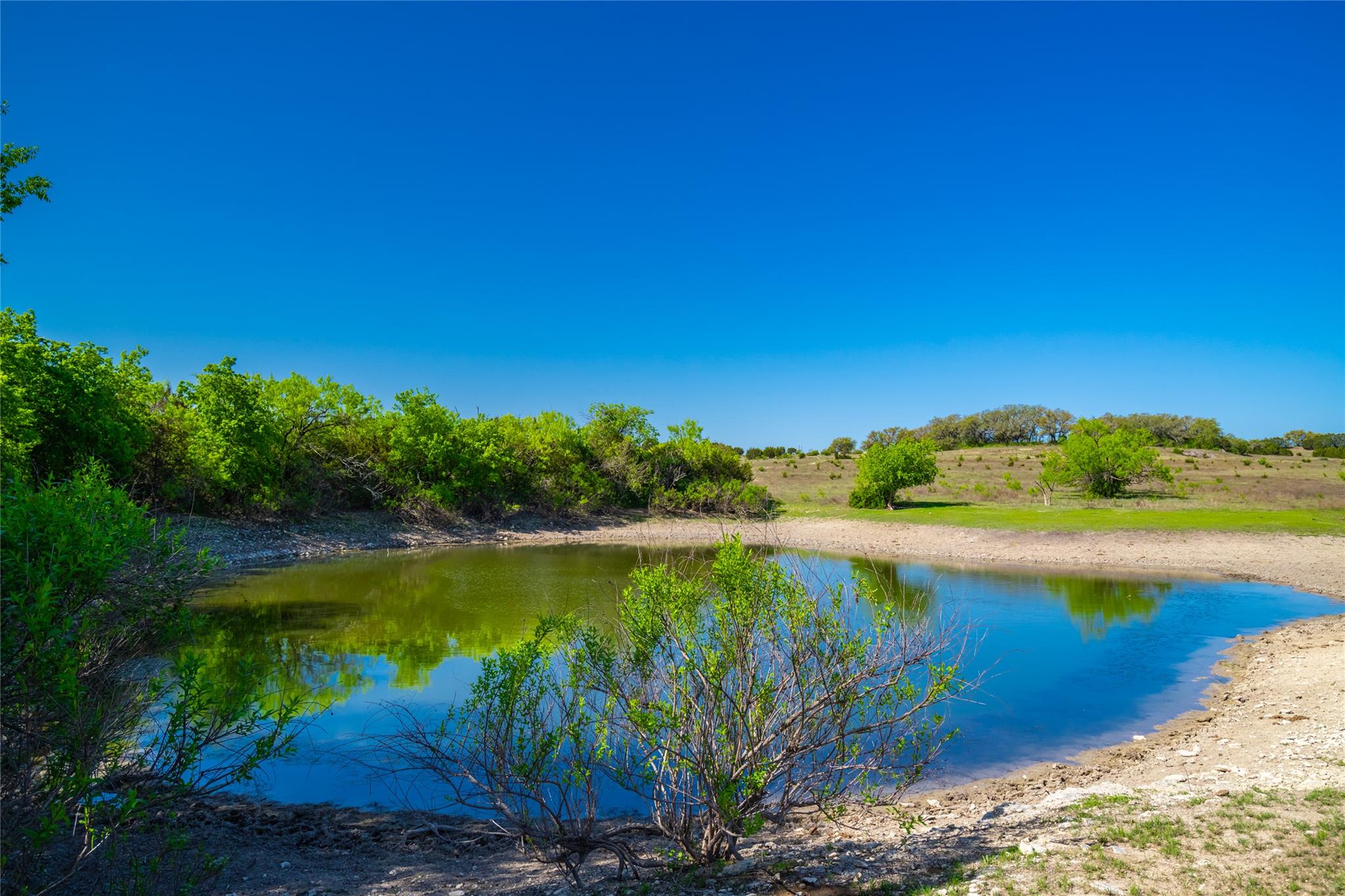 0 County Road 208 None Property Photo 6