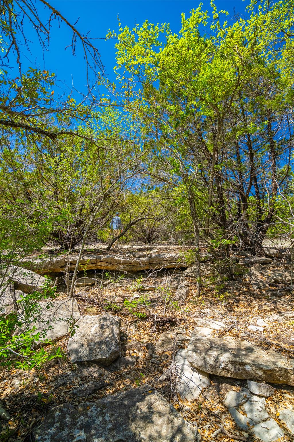 0 County Road 208 None Property Photo 8