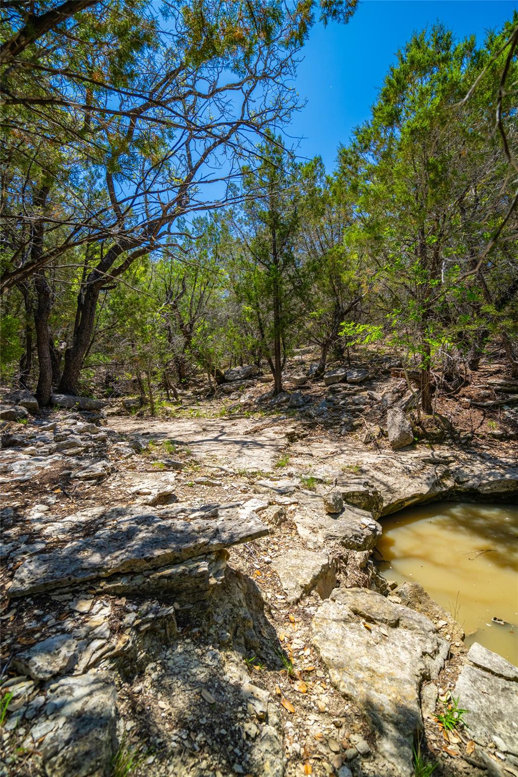 0 County Road 208 None Property Photo 9